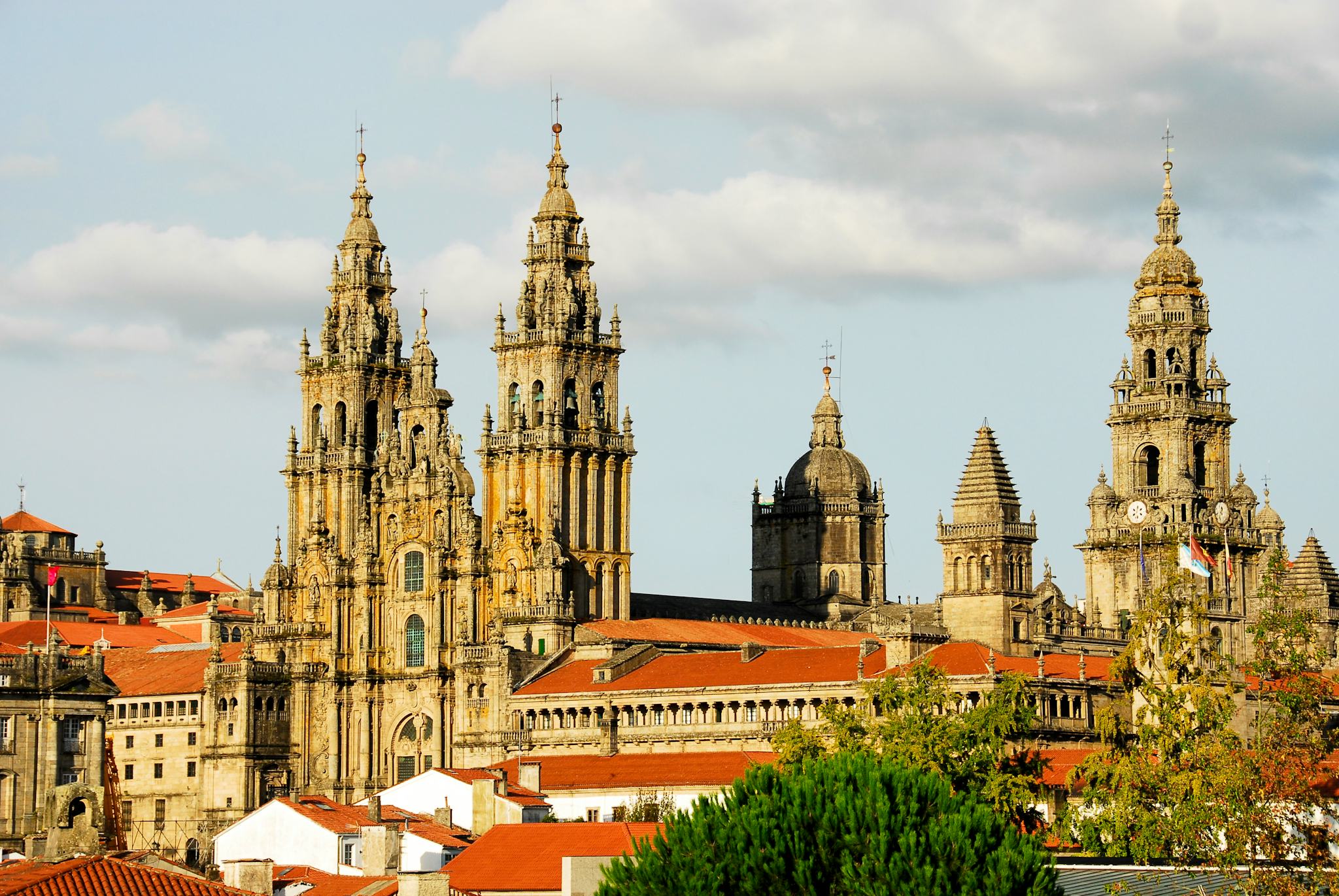 Vigo to Santiago de Compostela: Private day trip