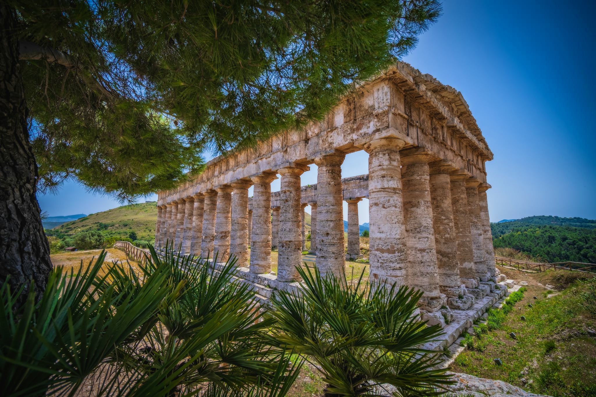 Segesta