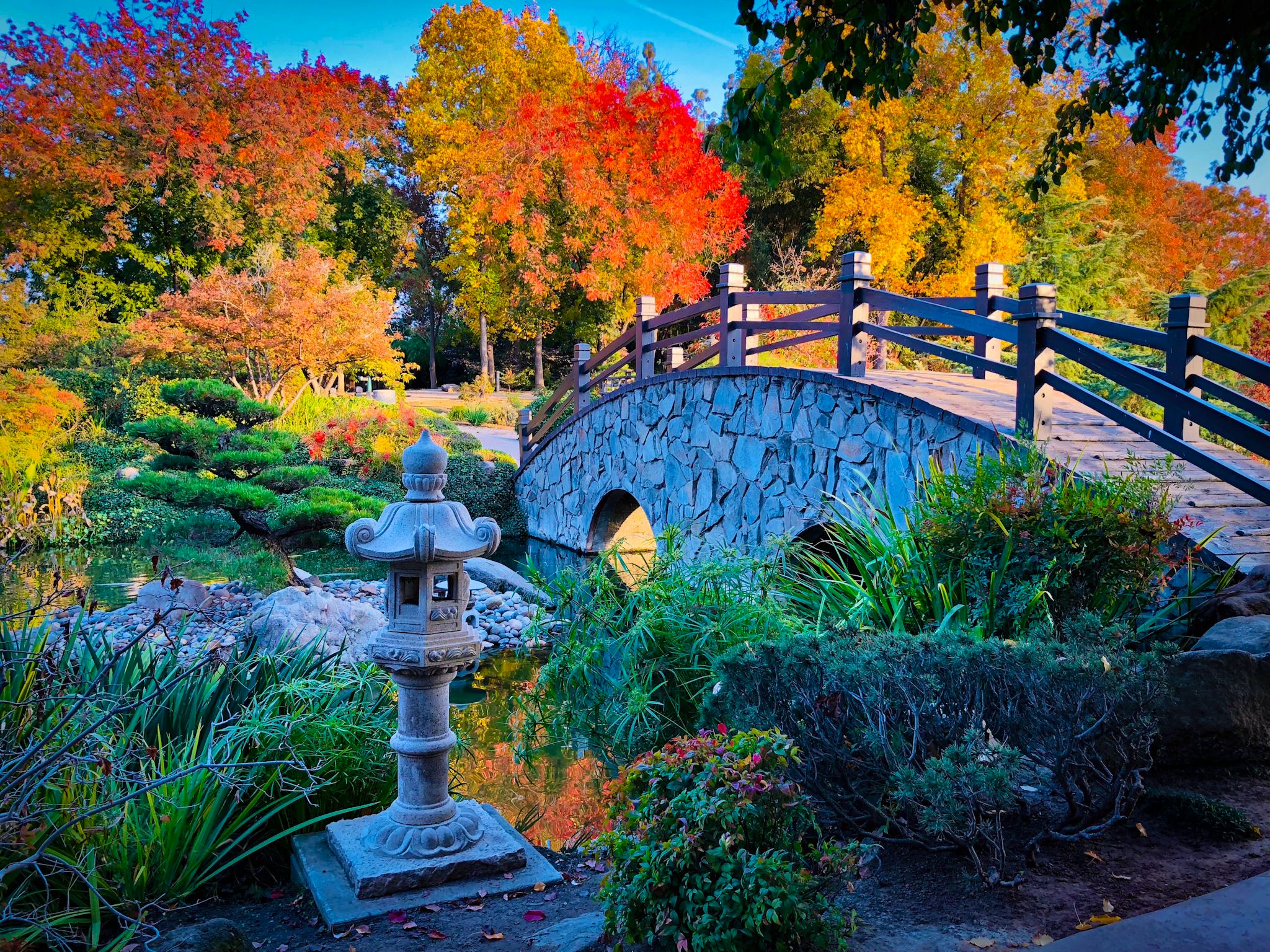 Shinzen Japanese Garden