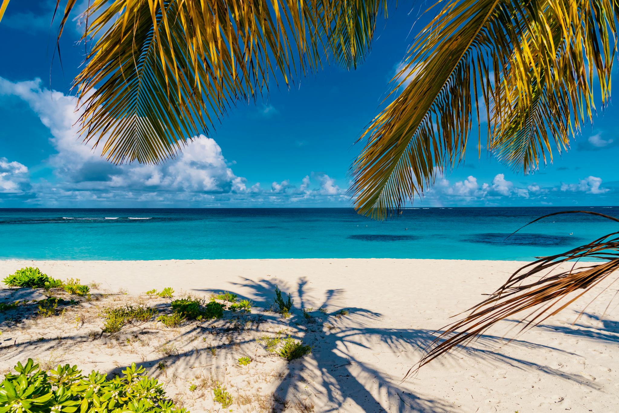 Shoal Bay Village