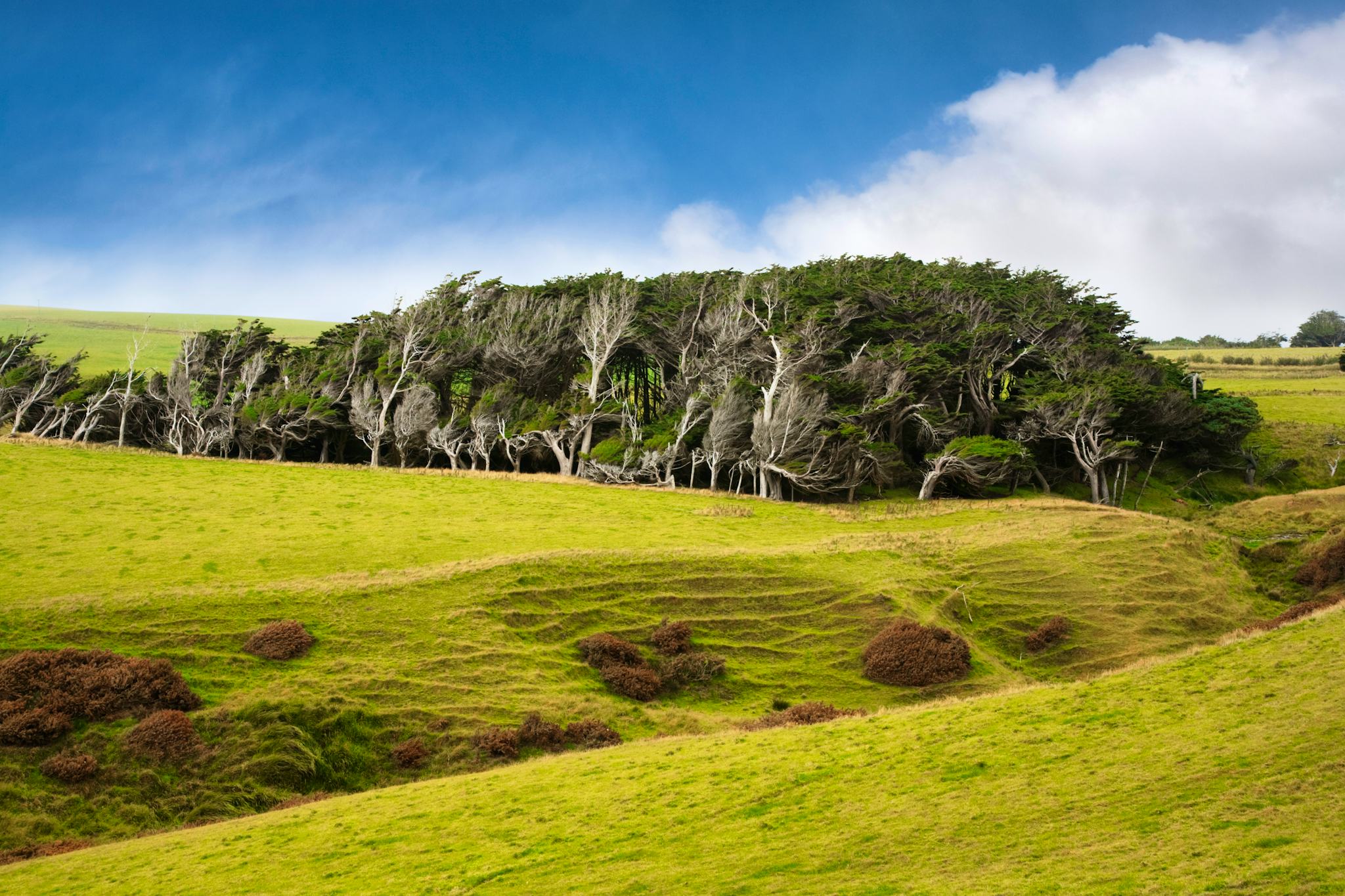 Slope Point