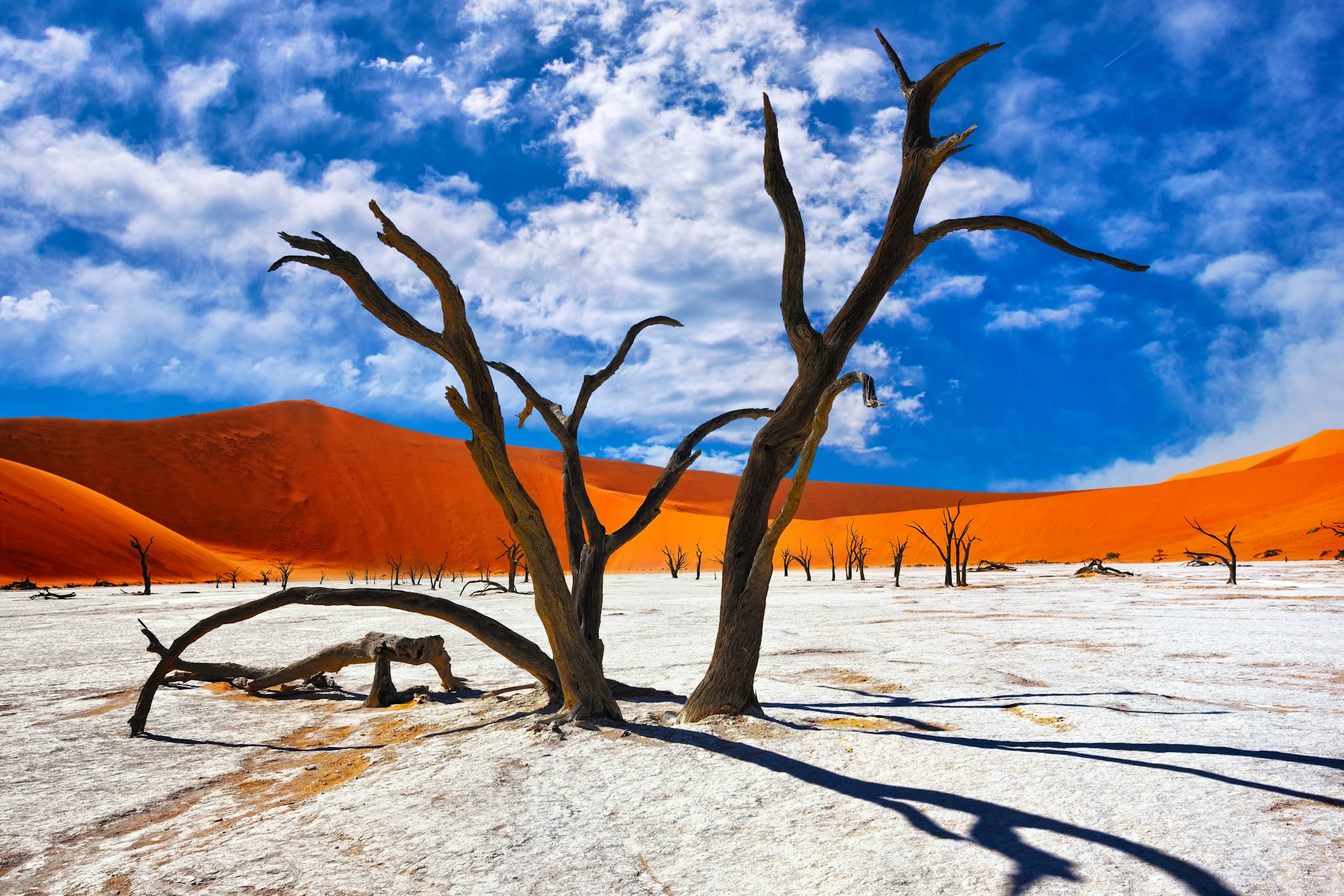 Sossusvlei