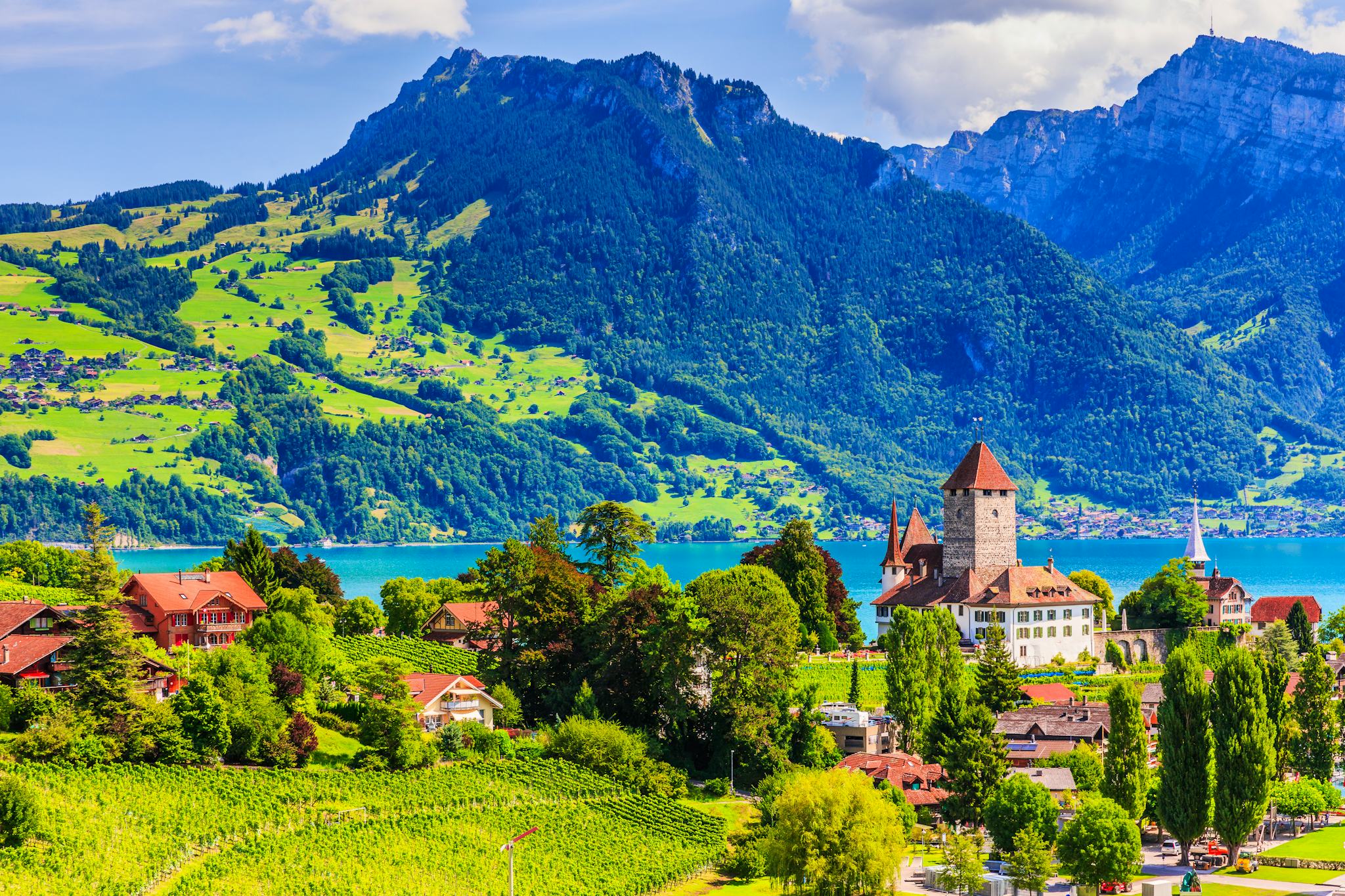 Bern to Thun and Spiez: Private day trip