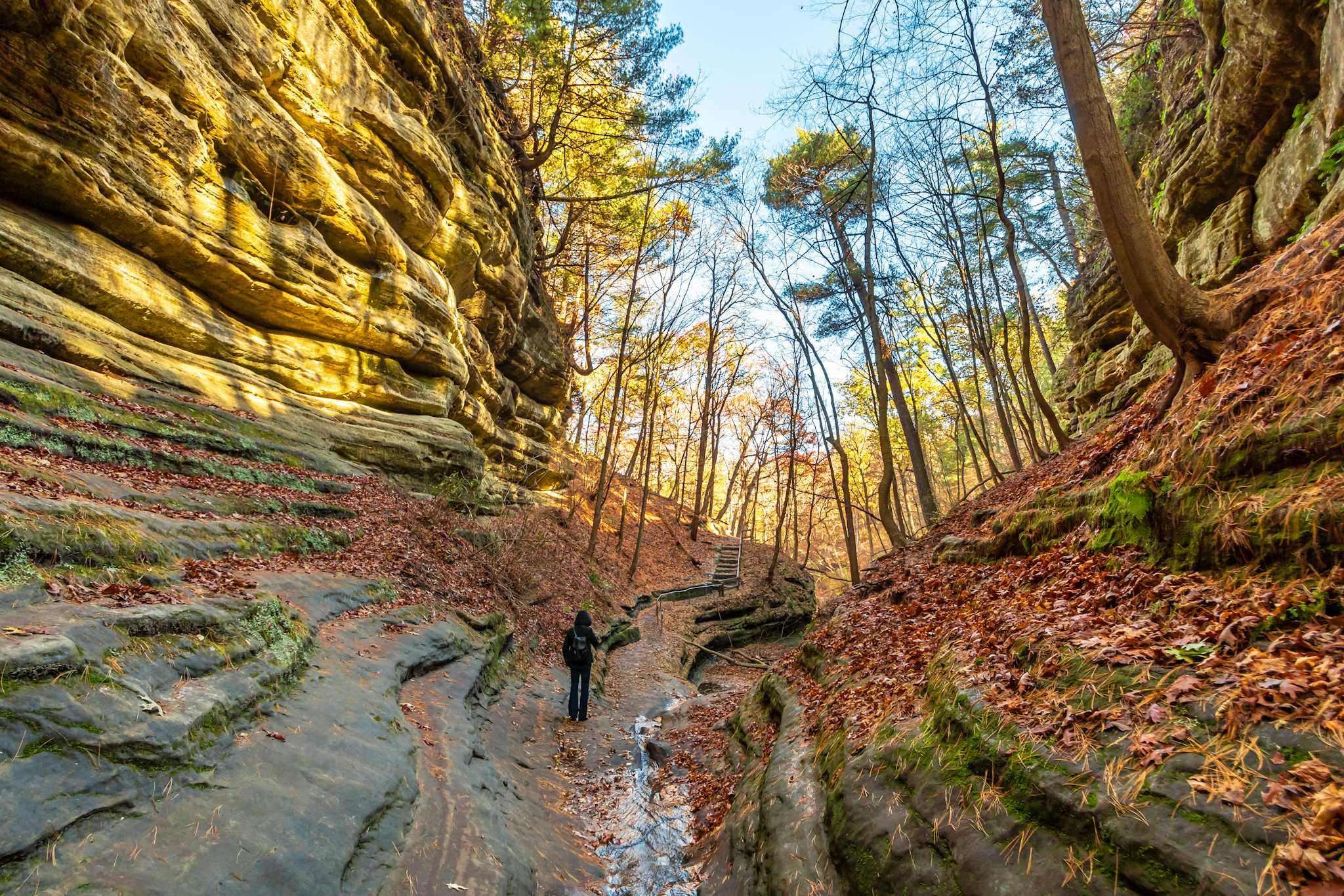 Starved Rock State Park