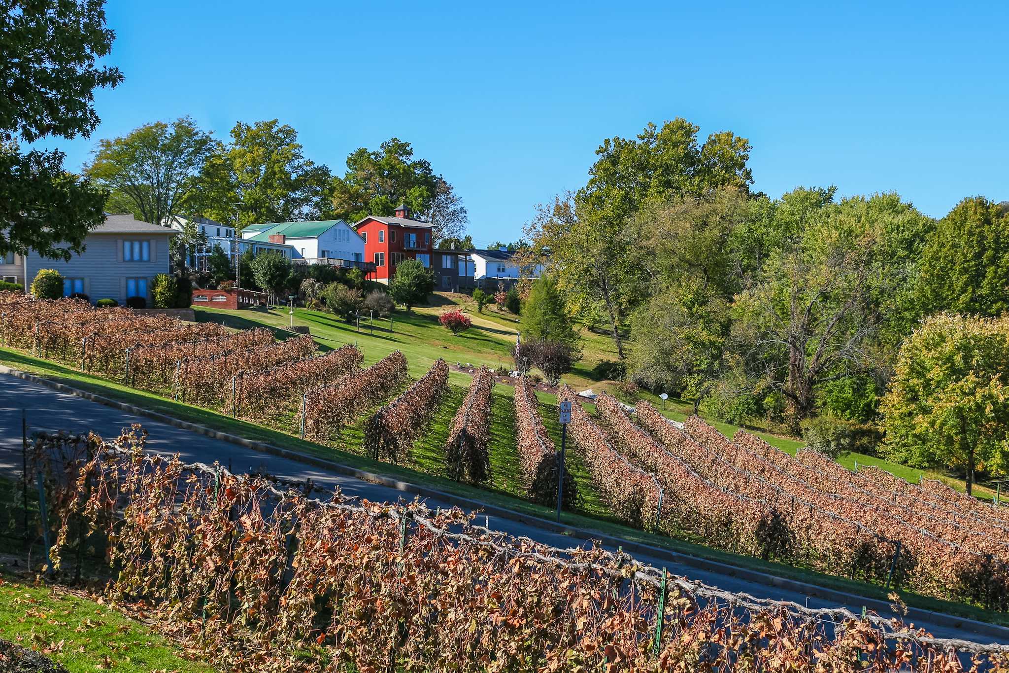 Stone Hill Winery