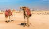 Discover location header image