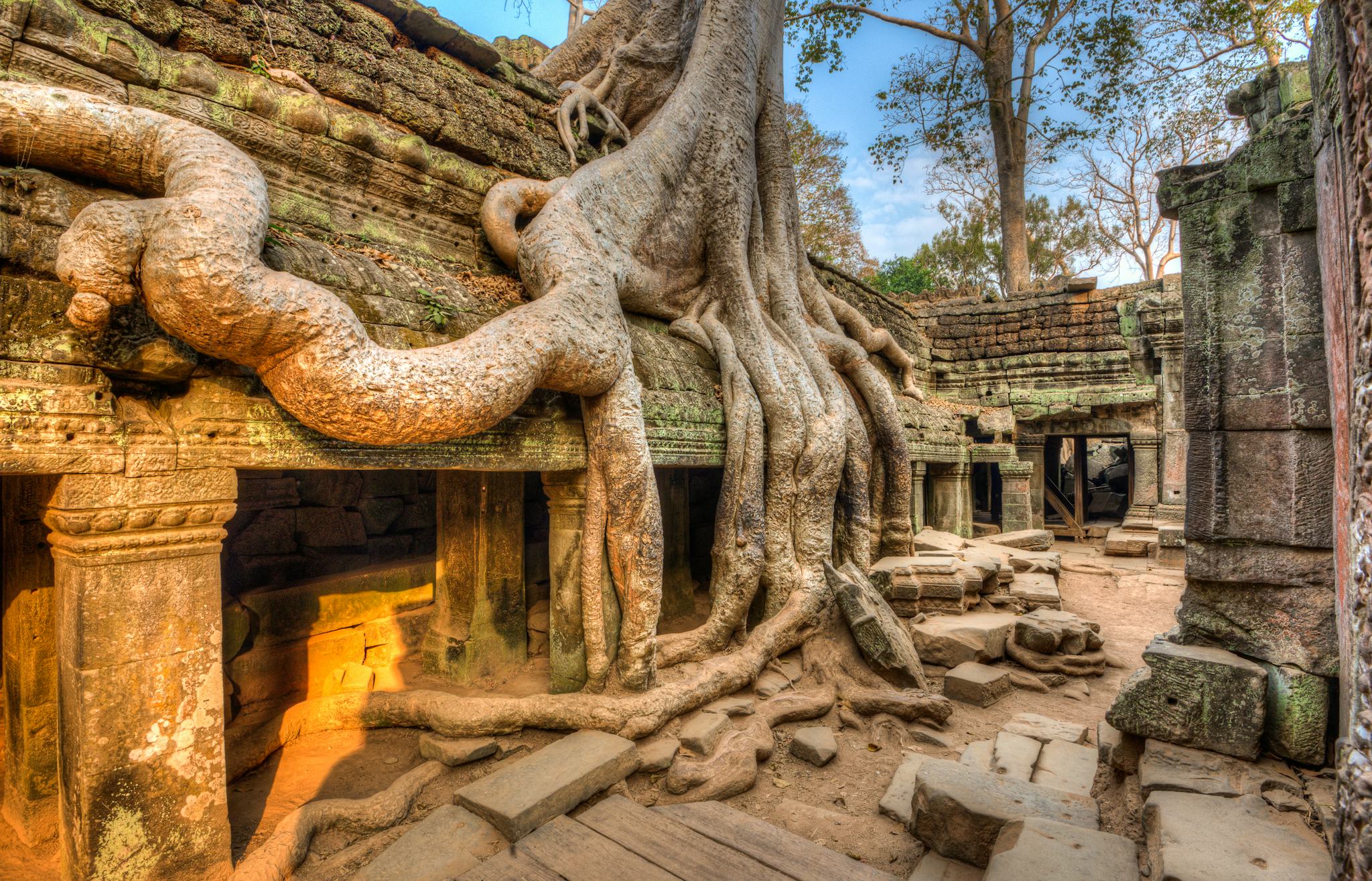 Ta Prohm Temple