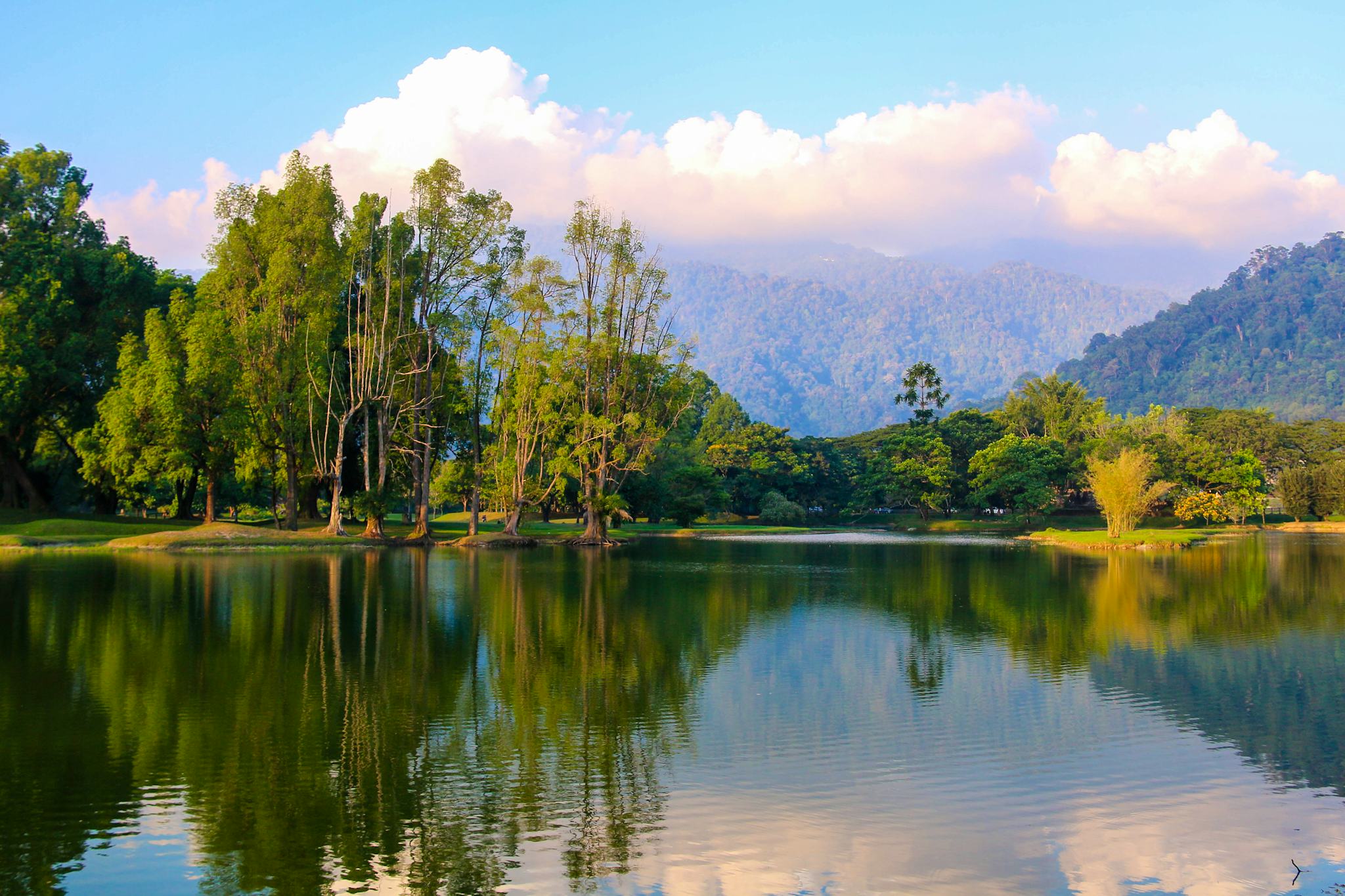 Taiping Lake Gardens