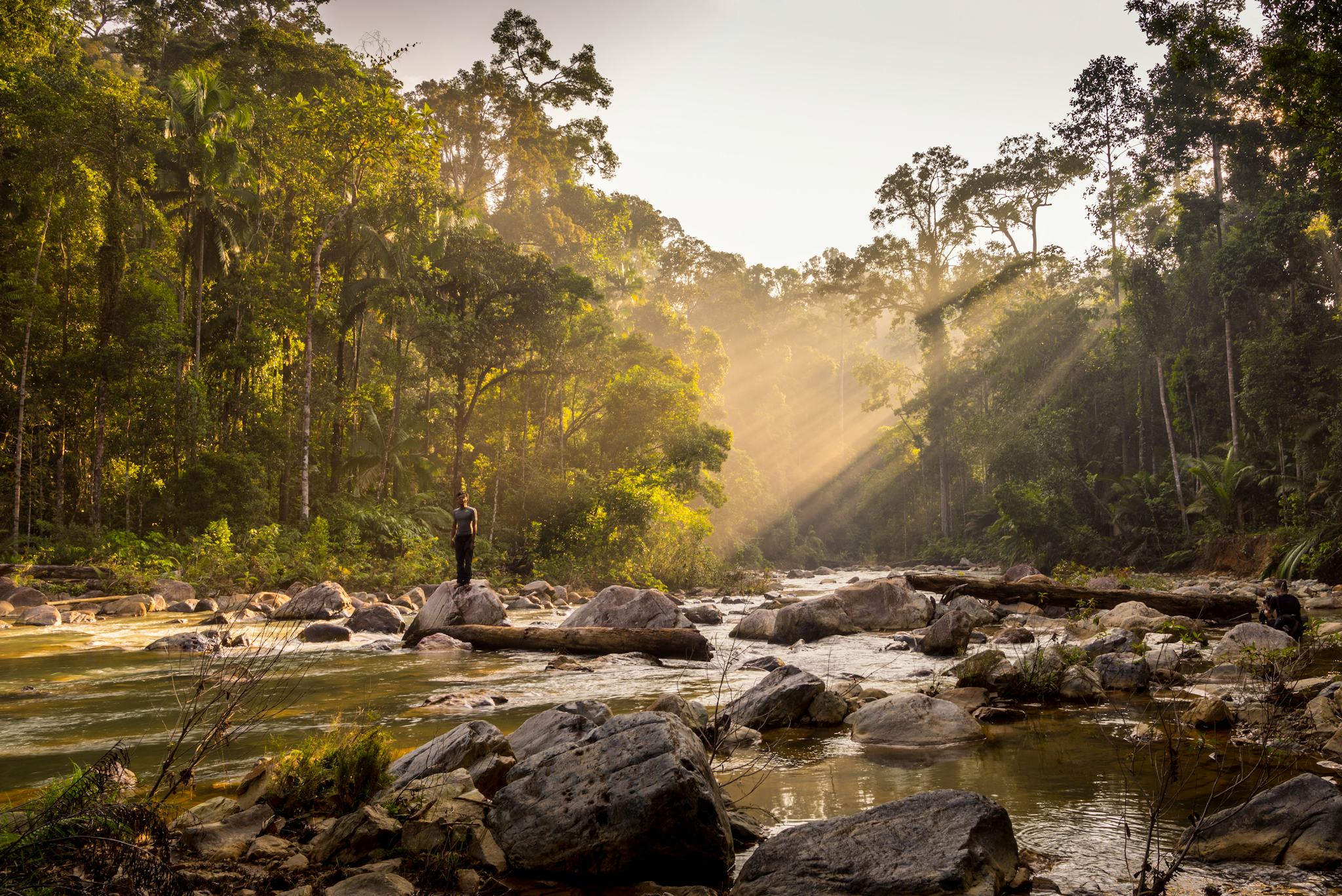 Taman Negara