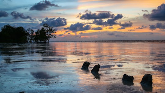 Tanjung Emas Park