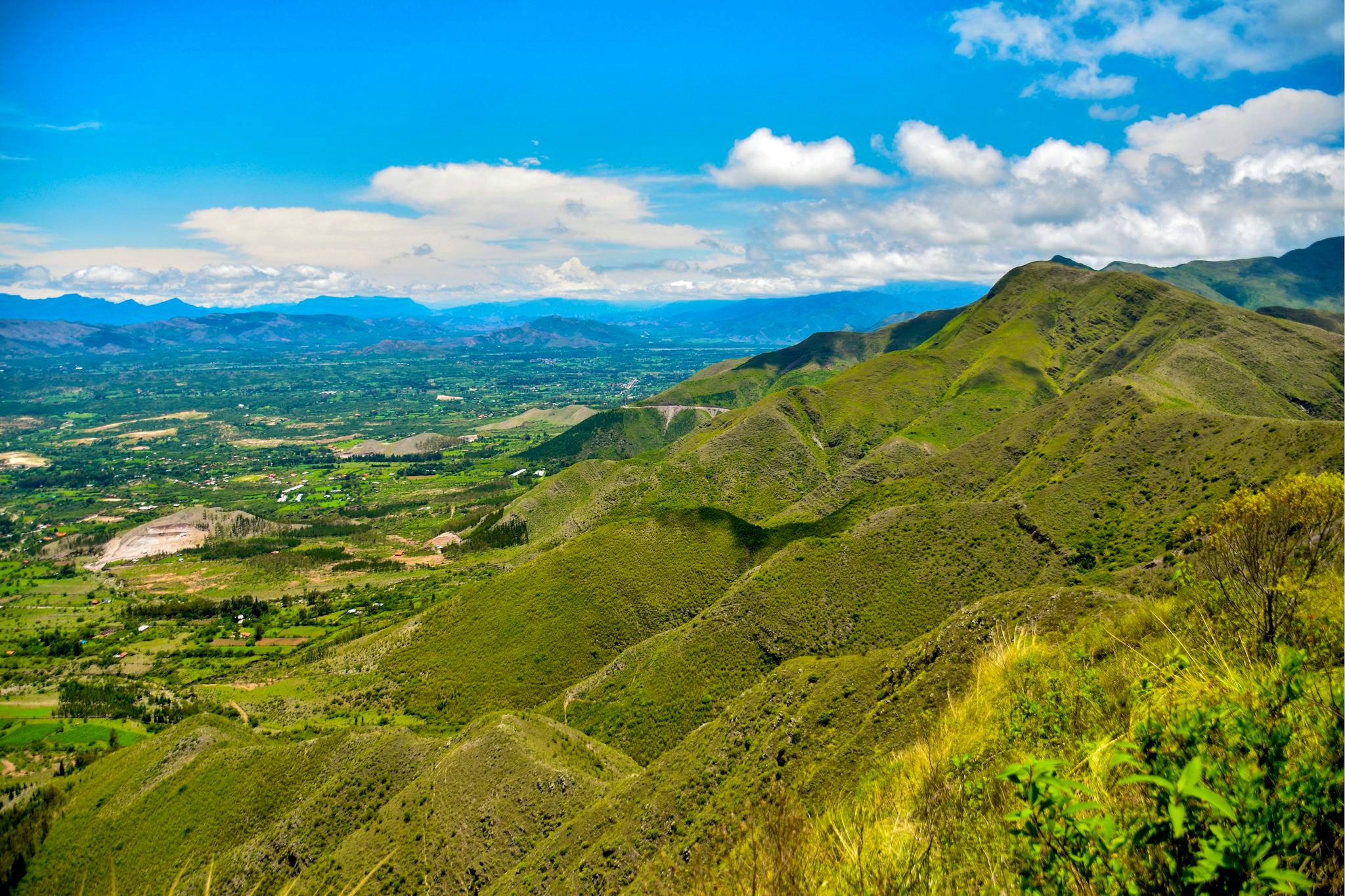 Tarija