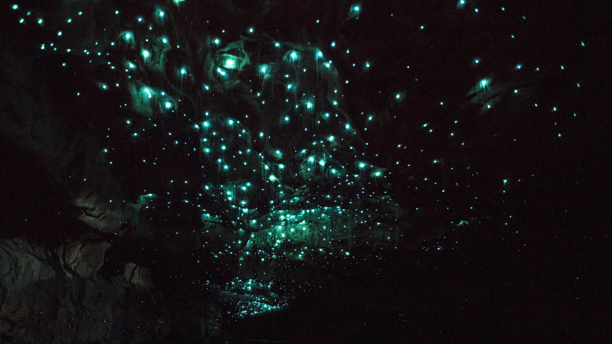 Te Anau Glowworm Caves