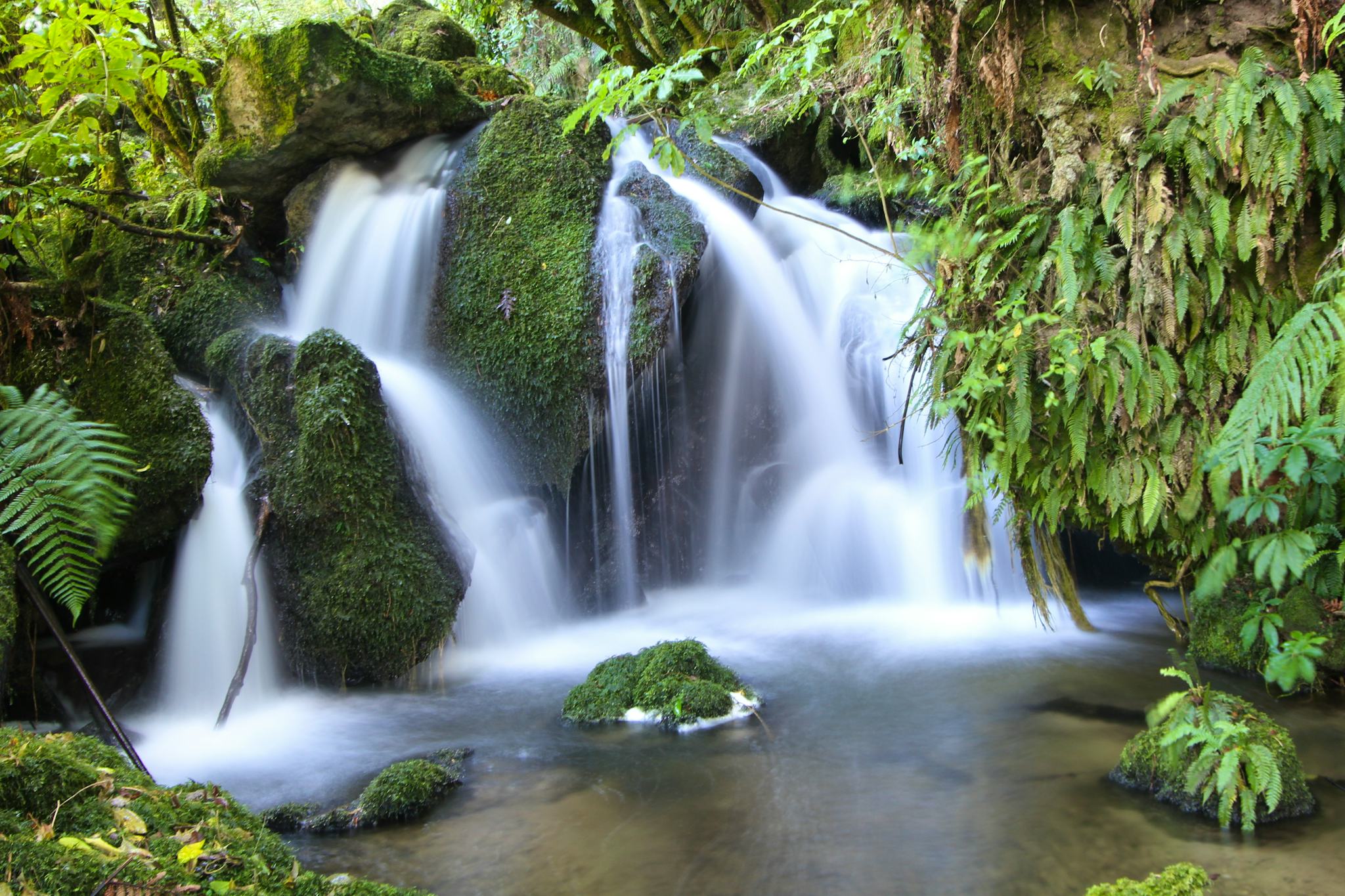 Te Wairoa Buried Village