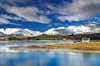 Tekapo
