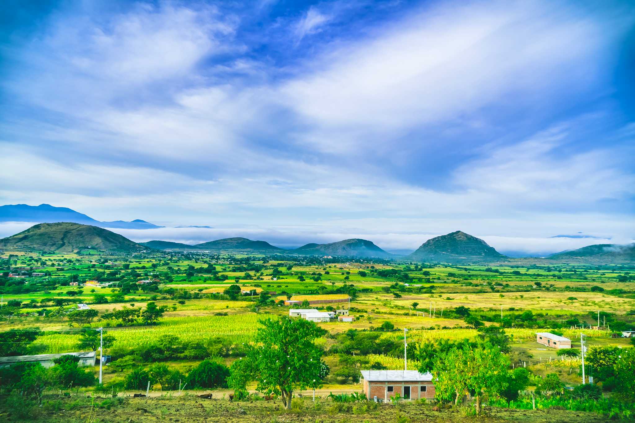 Teotitlan del Valle