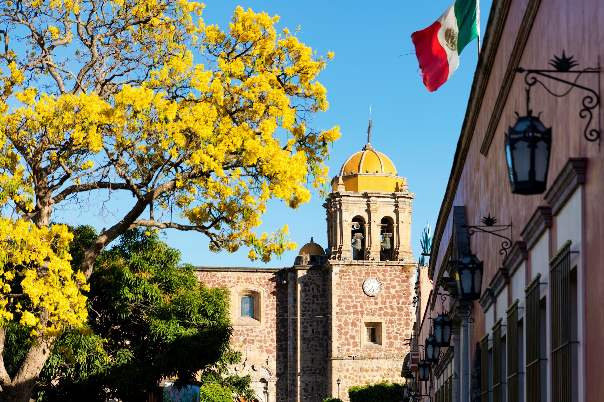 Puerto Vallarta to Tequila: Private day trip hero image