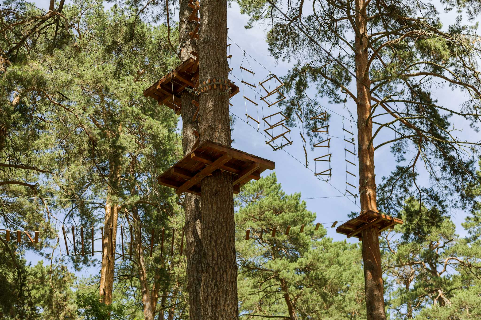 The Adventure Park at Sandy Spring