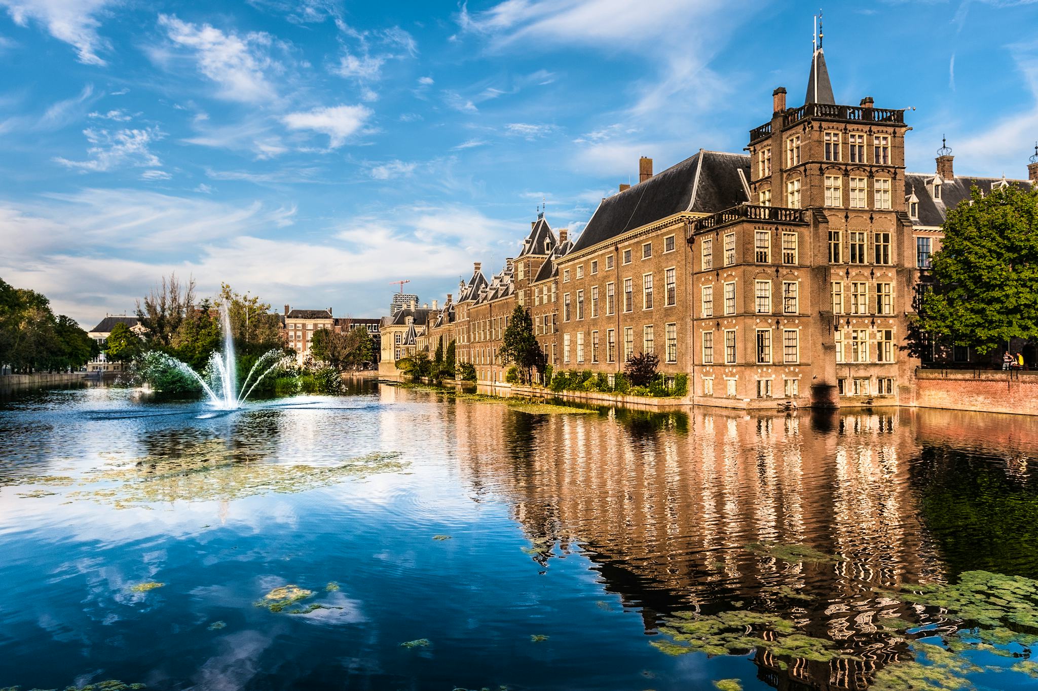 Rotterdam to The Hague and Leiden: Private day trip