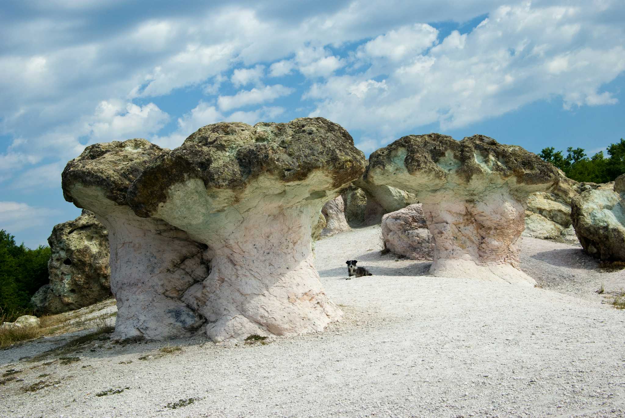 The Stone Mushrooms