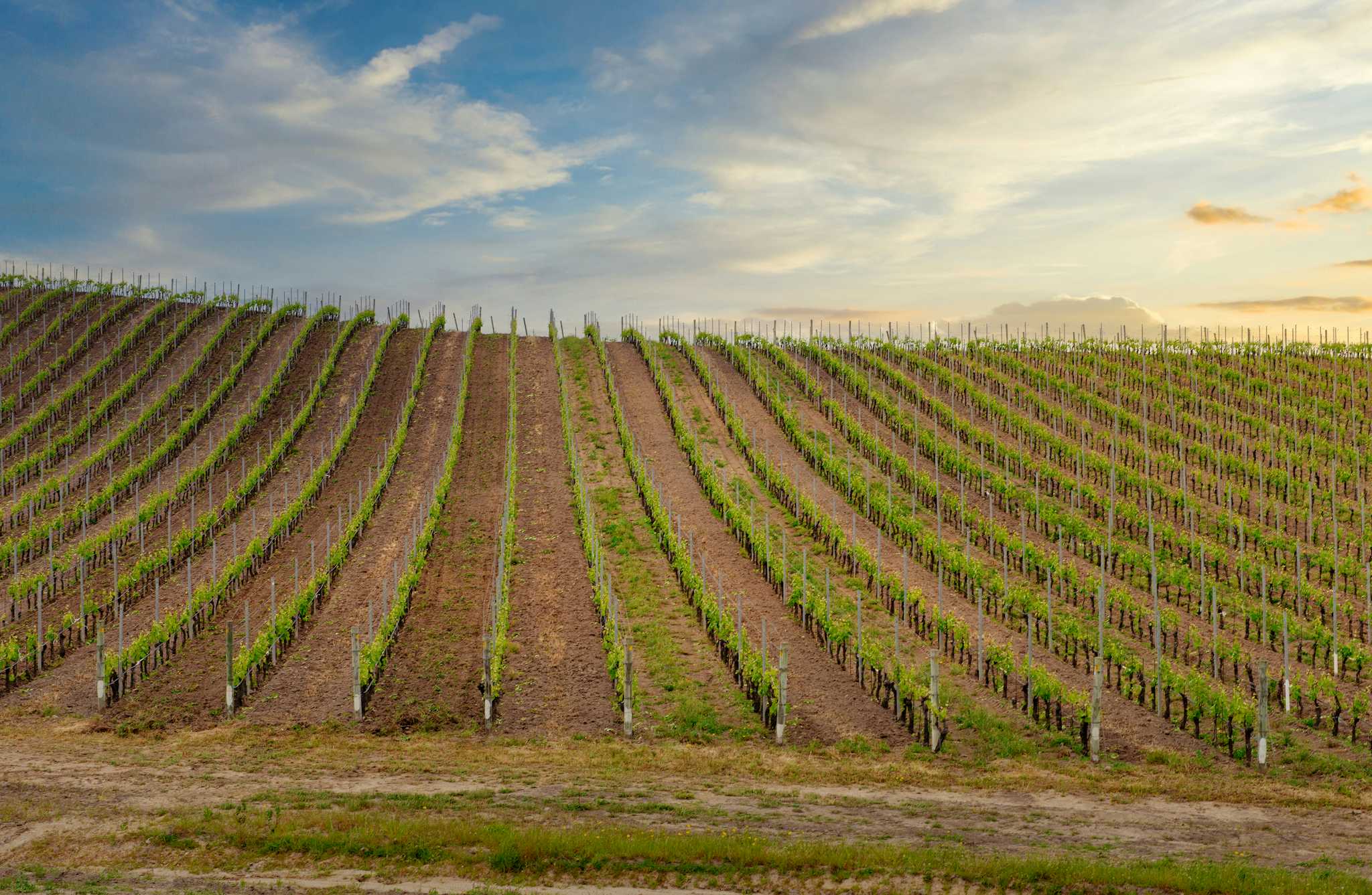 The Winery at Bull Run