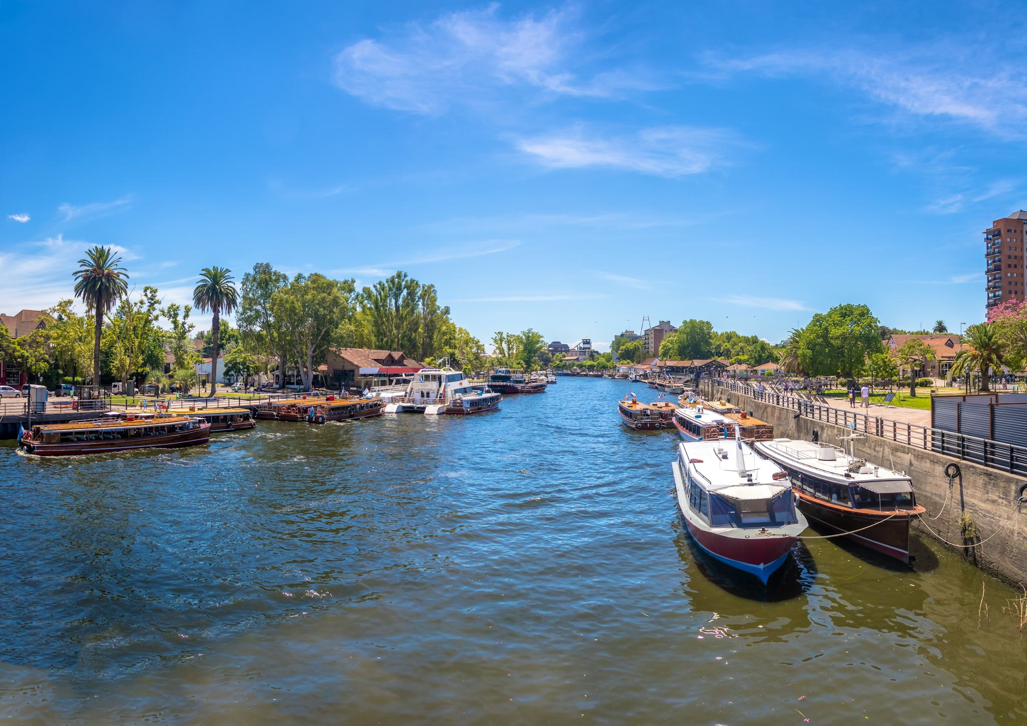 Tigre
