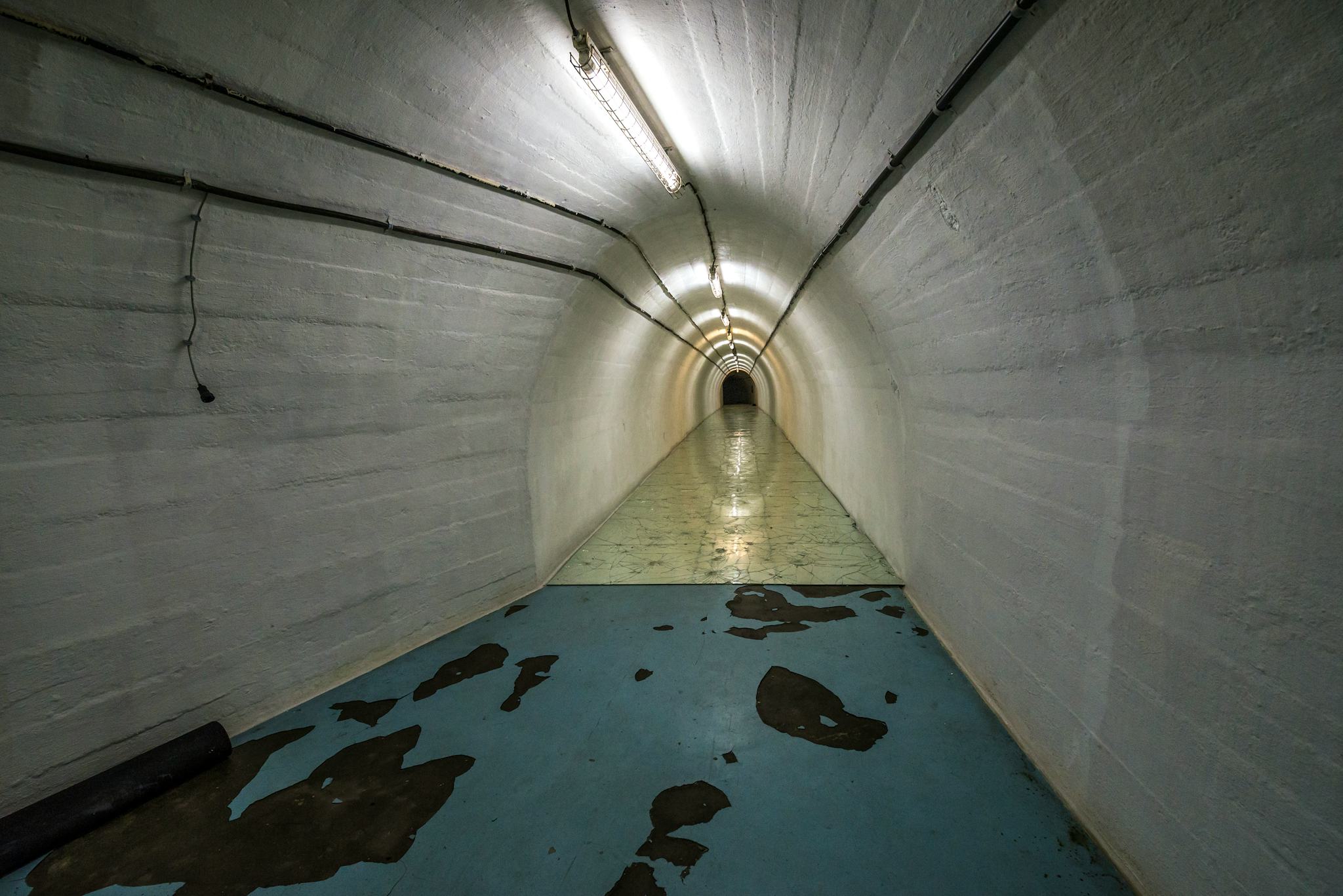 Tito's Bunker - ARK D-0