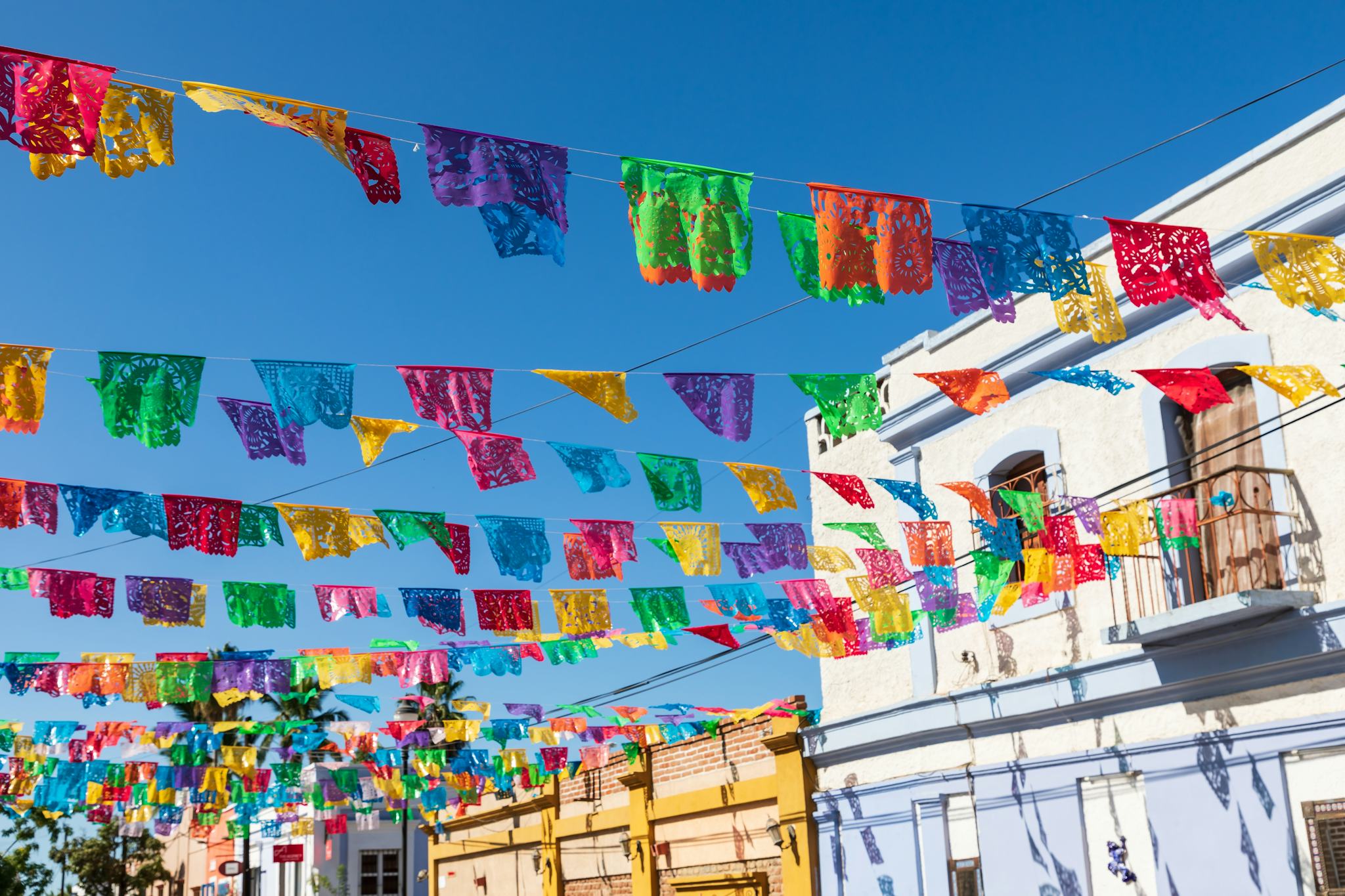 Cabo San Lucas to Todos Santos: Private day trip hero image