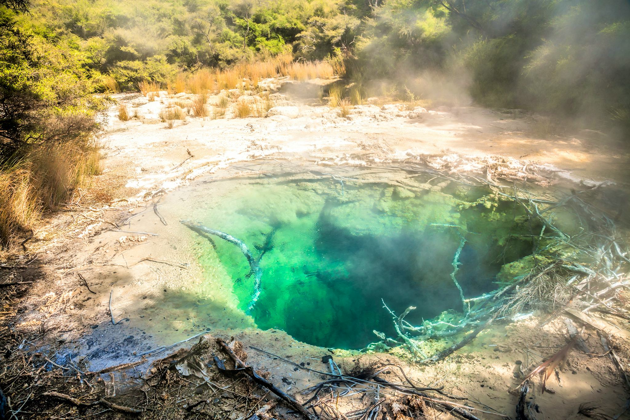 Piscinas Termales Tokaanu