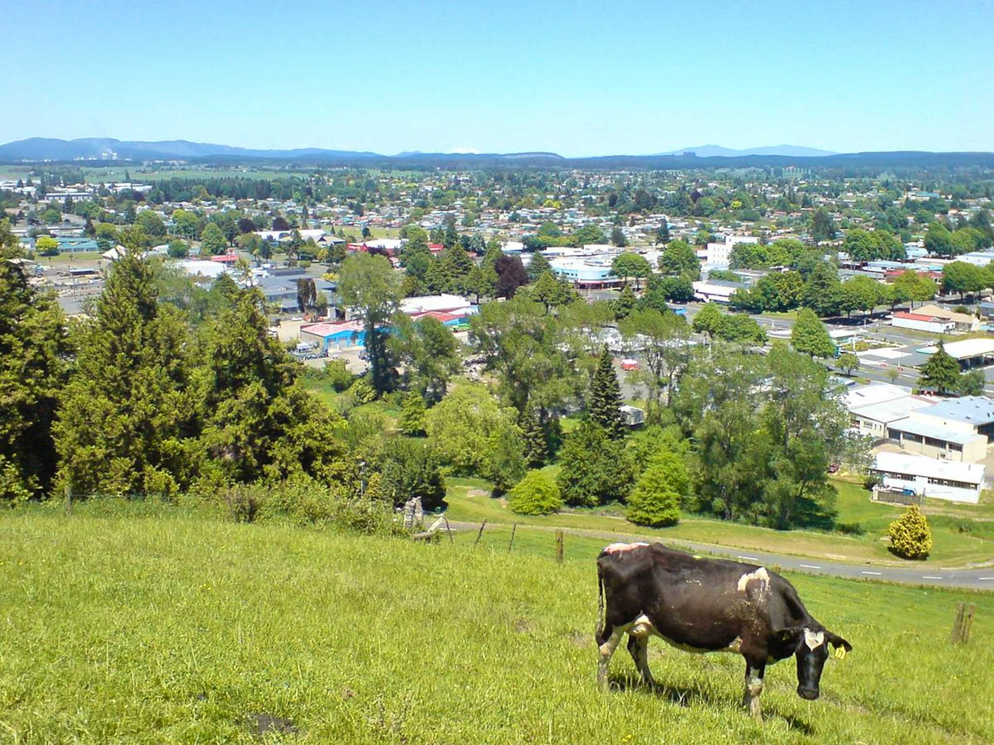 Tokoroa