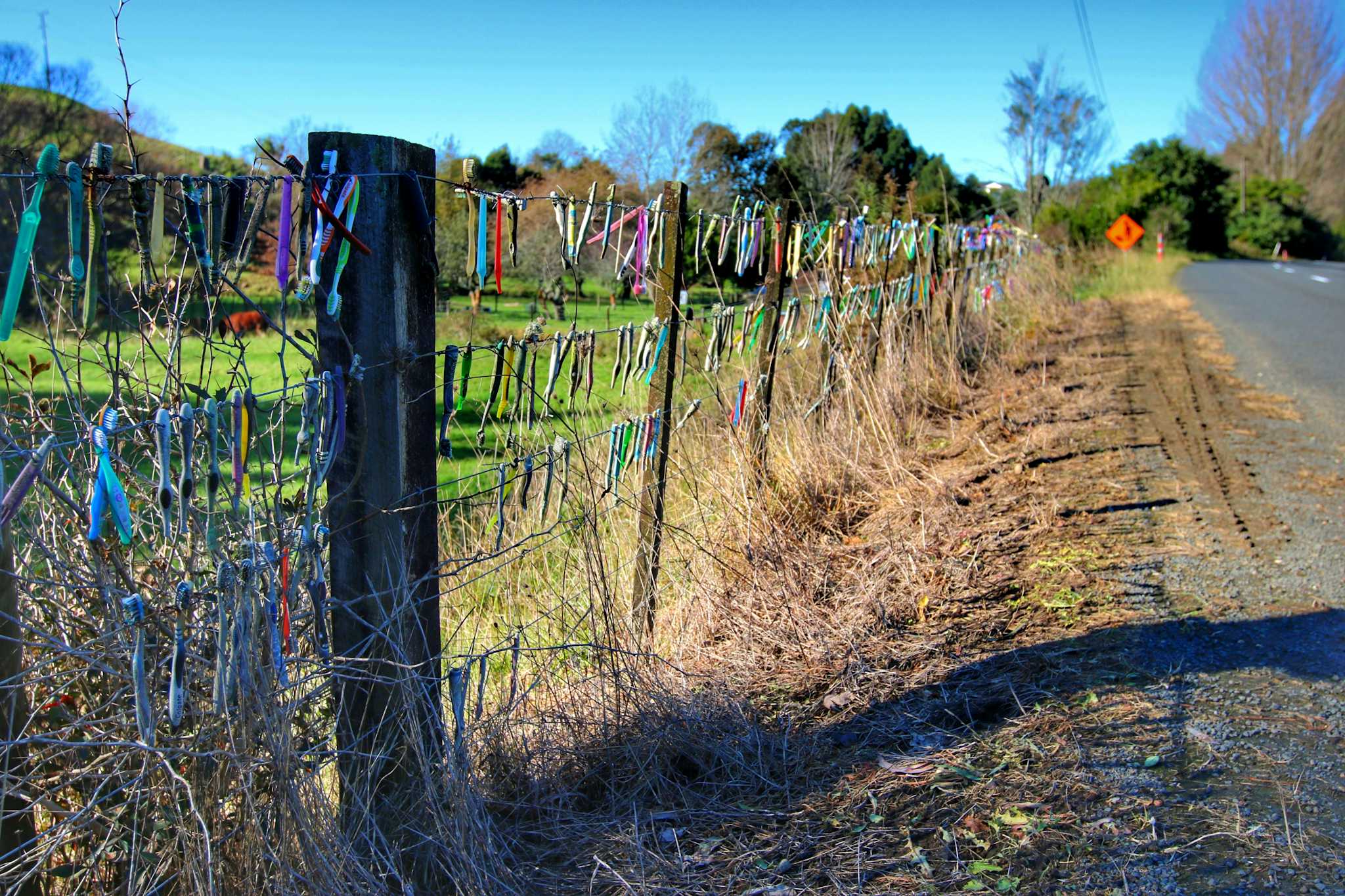 Toothbrush Fence