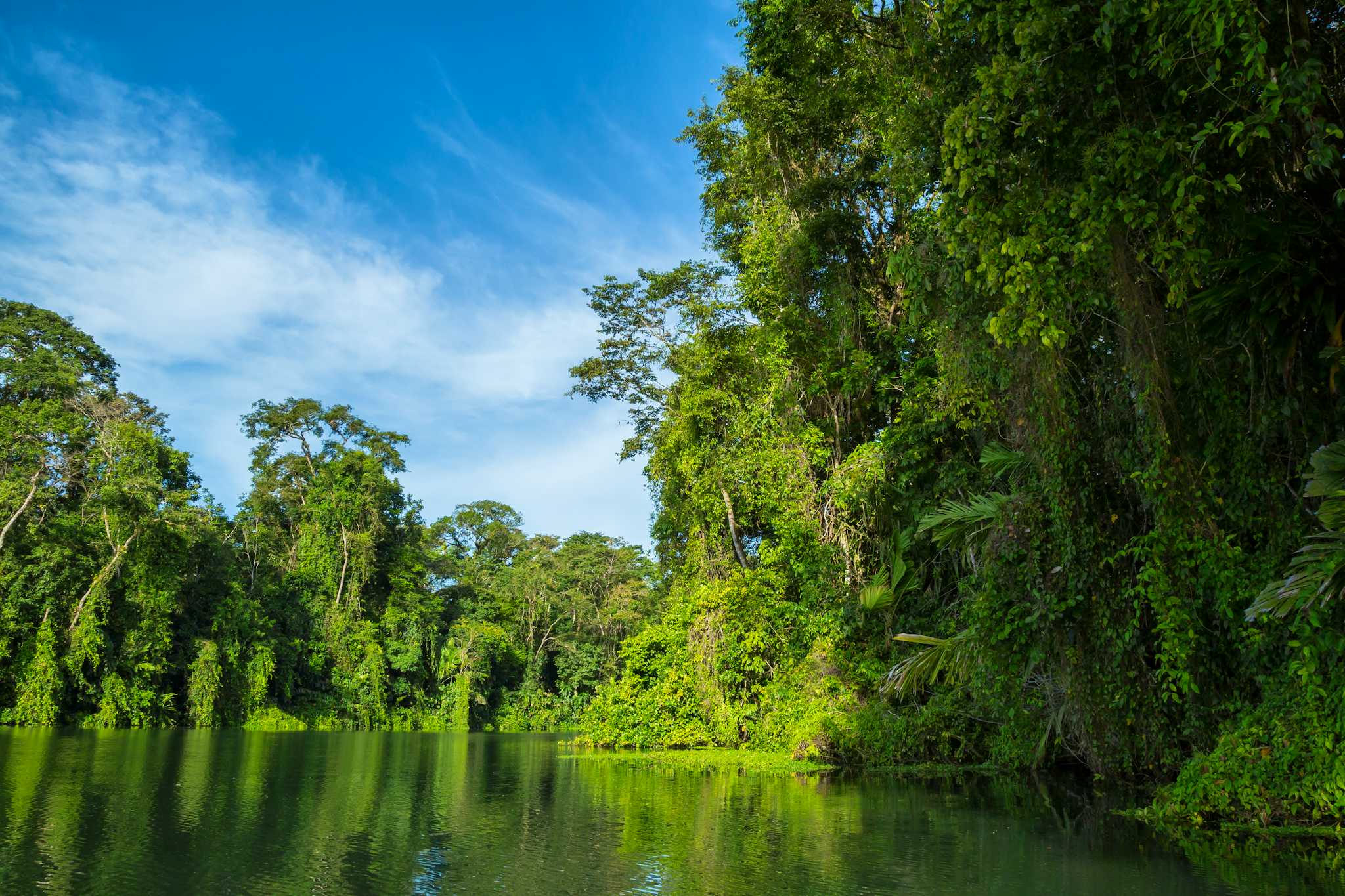 Tortuguero