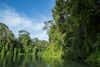 Tortuguero