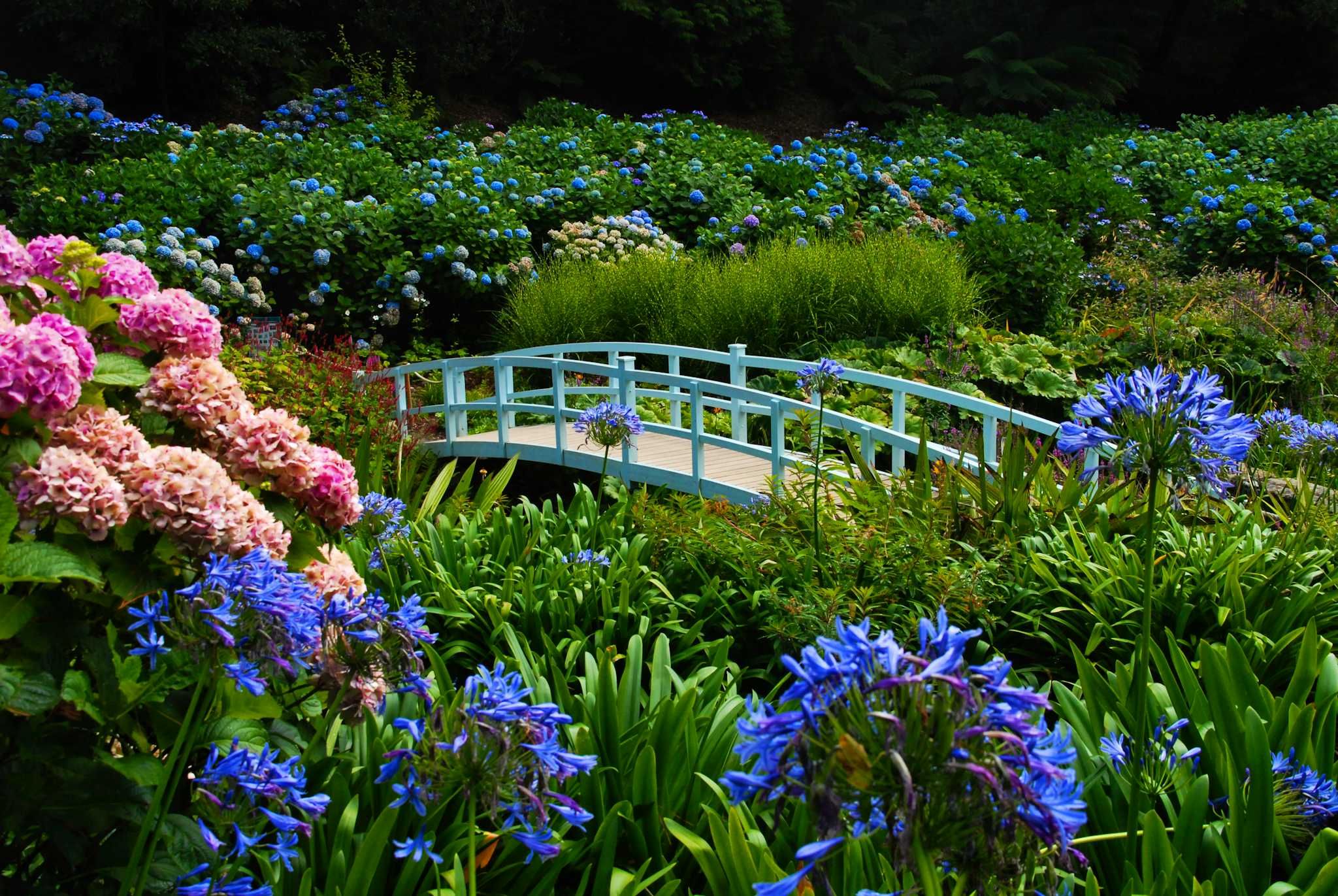 Trebah Garden