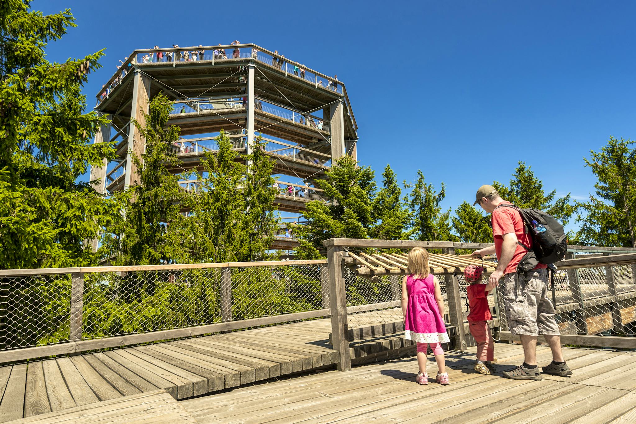 Treetop Walkaway Lipno