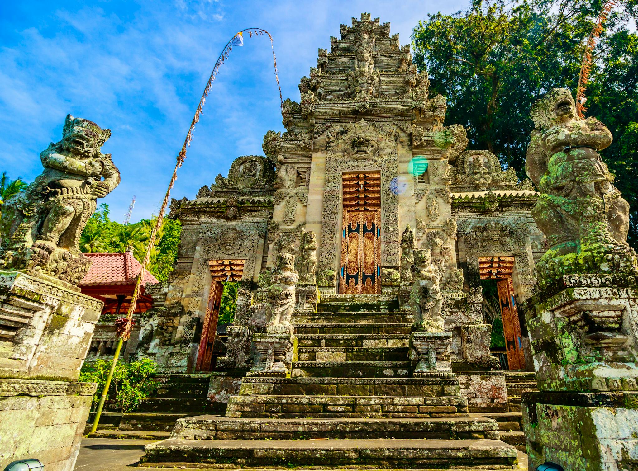 Denpasar to Ubud, Waterfalls, and Rice Terraces: Day trip