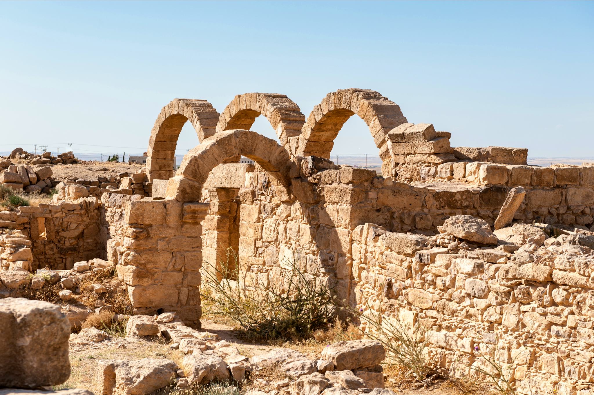 Amman to Madaba and Umm ar-Rasas: Private day trip