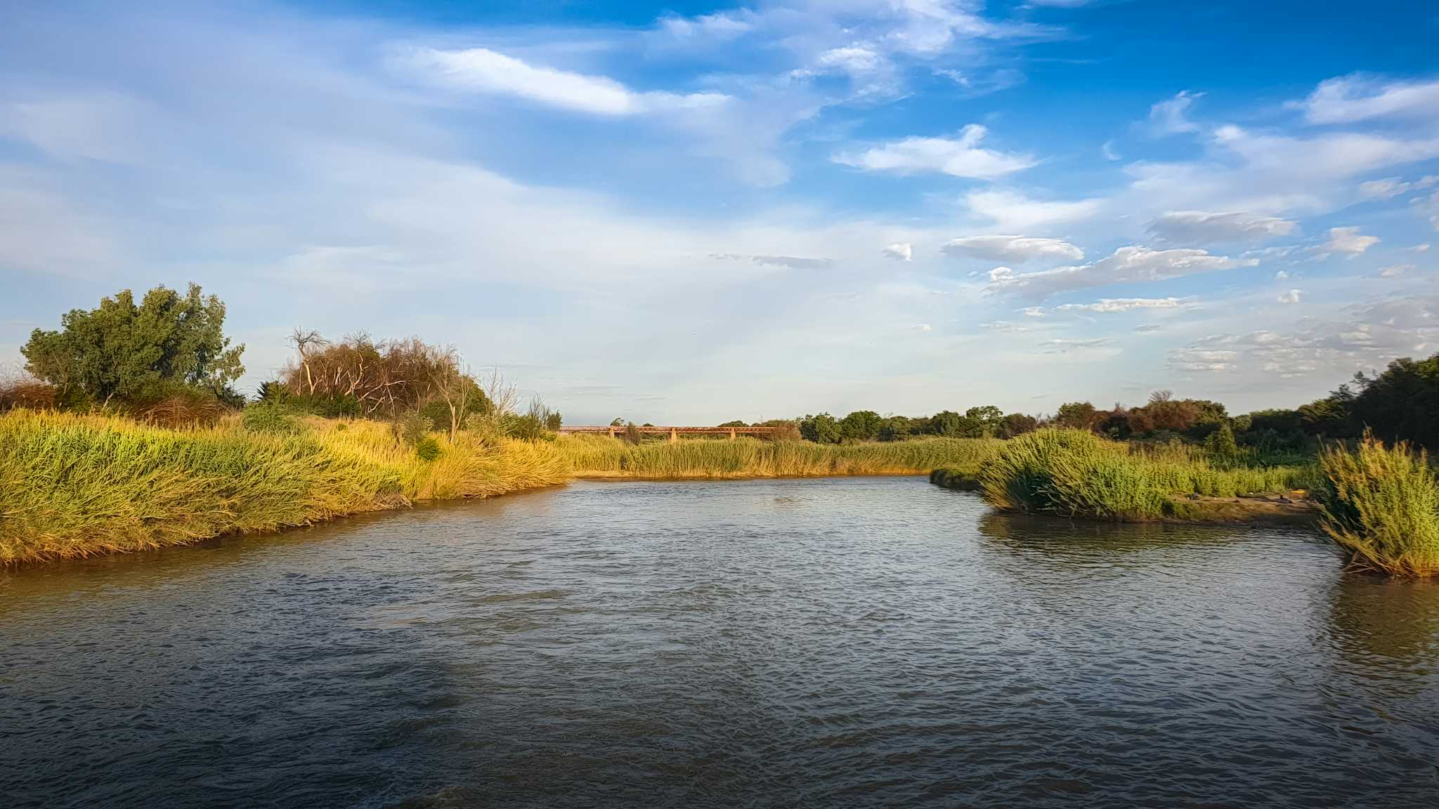Upington