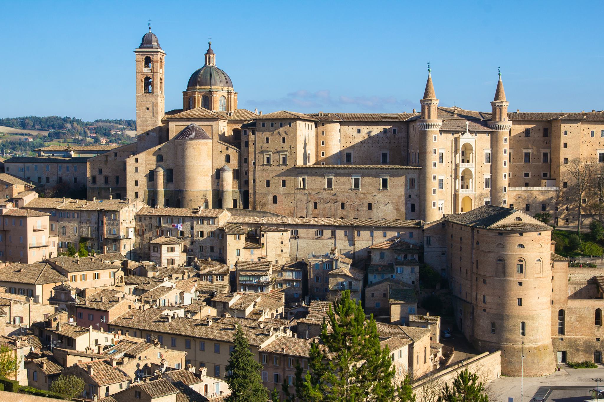 Urbino