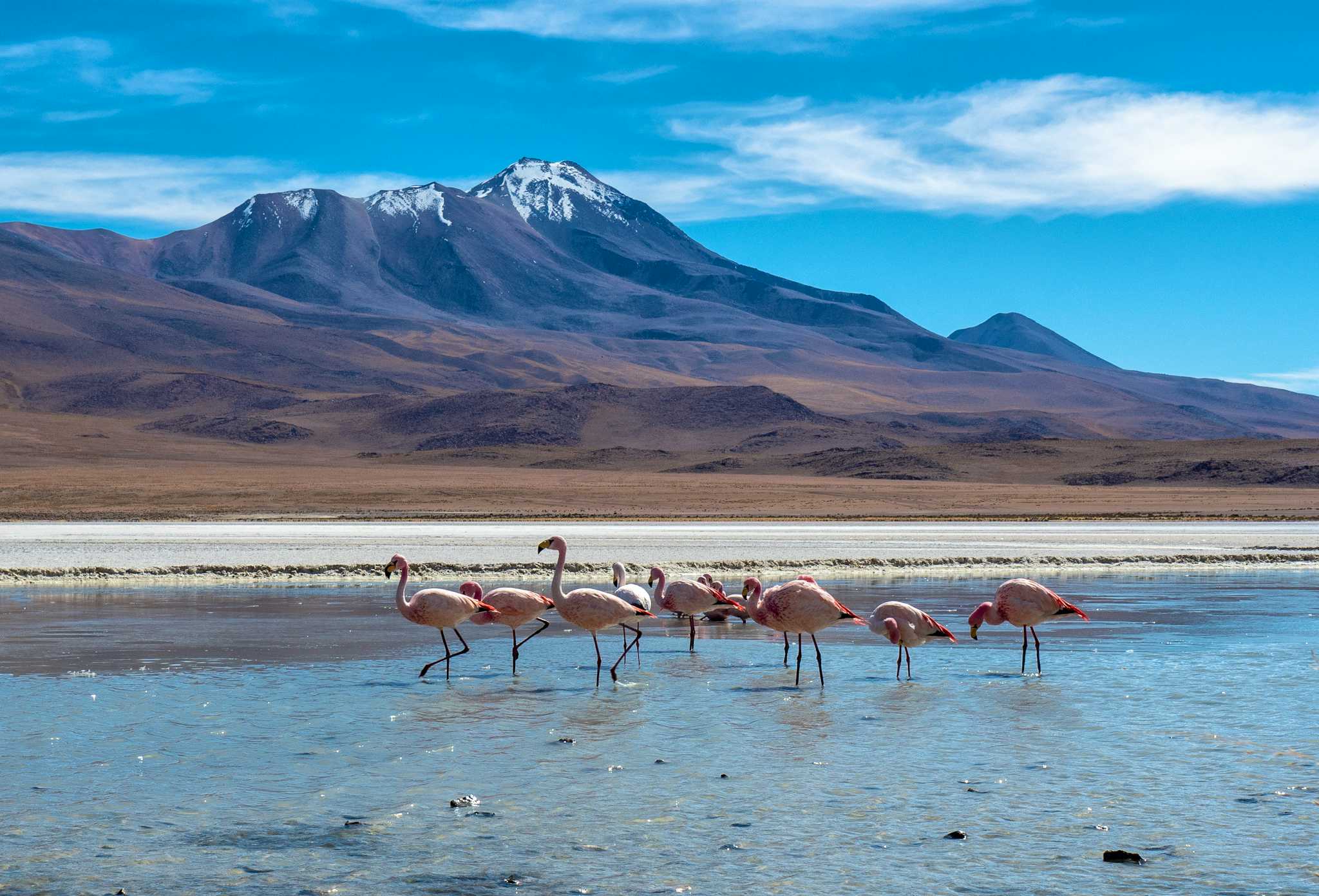 Colchani Bolivia