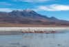 Colchani Bolivia