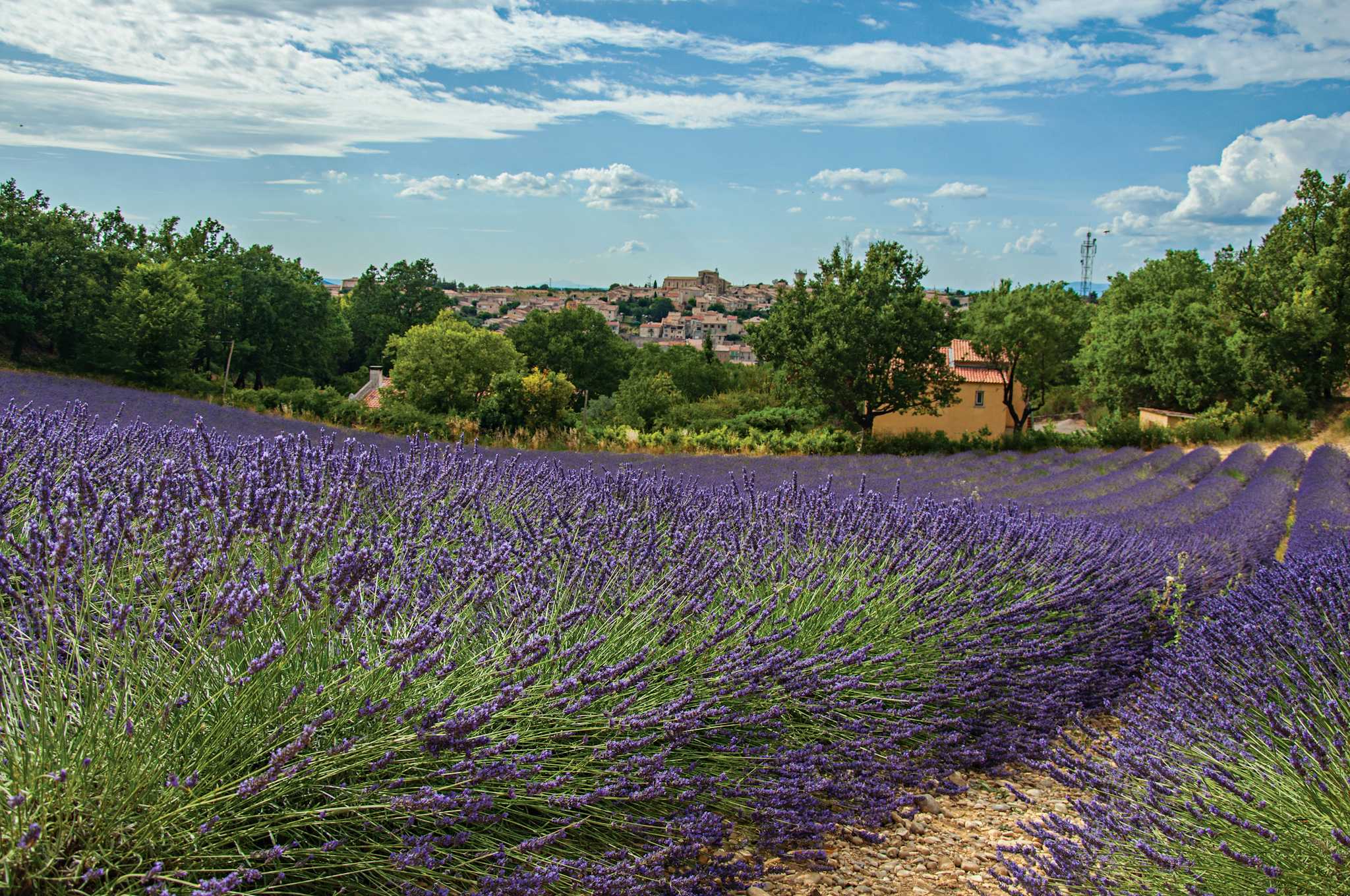 Valensole