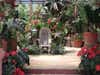 Vallarta Botanical Gardens