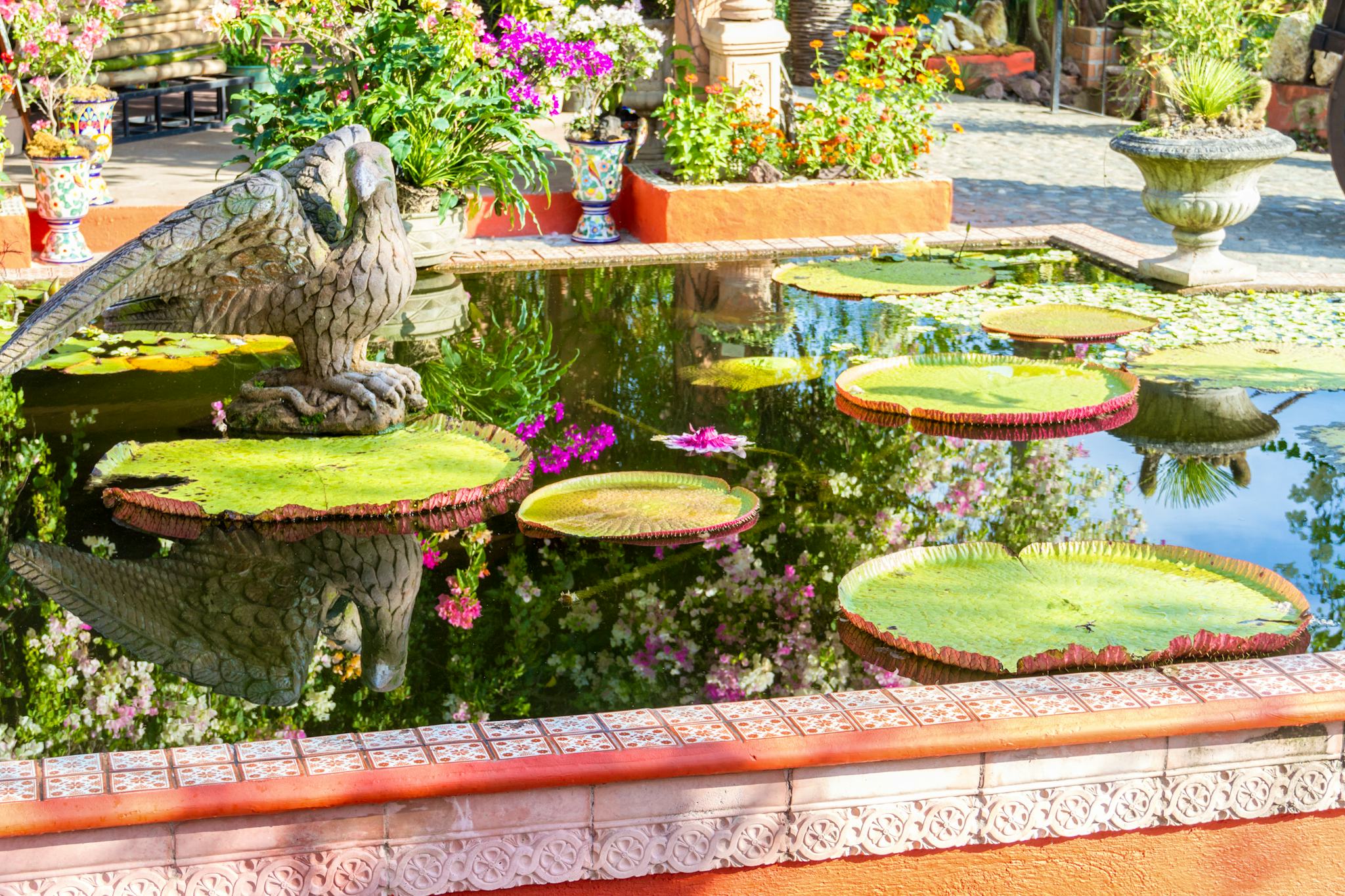 Vallarta Botanical Gardens