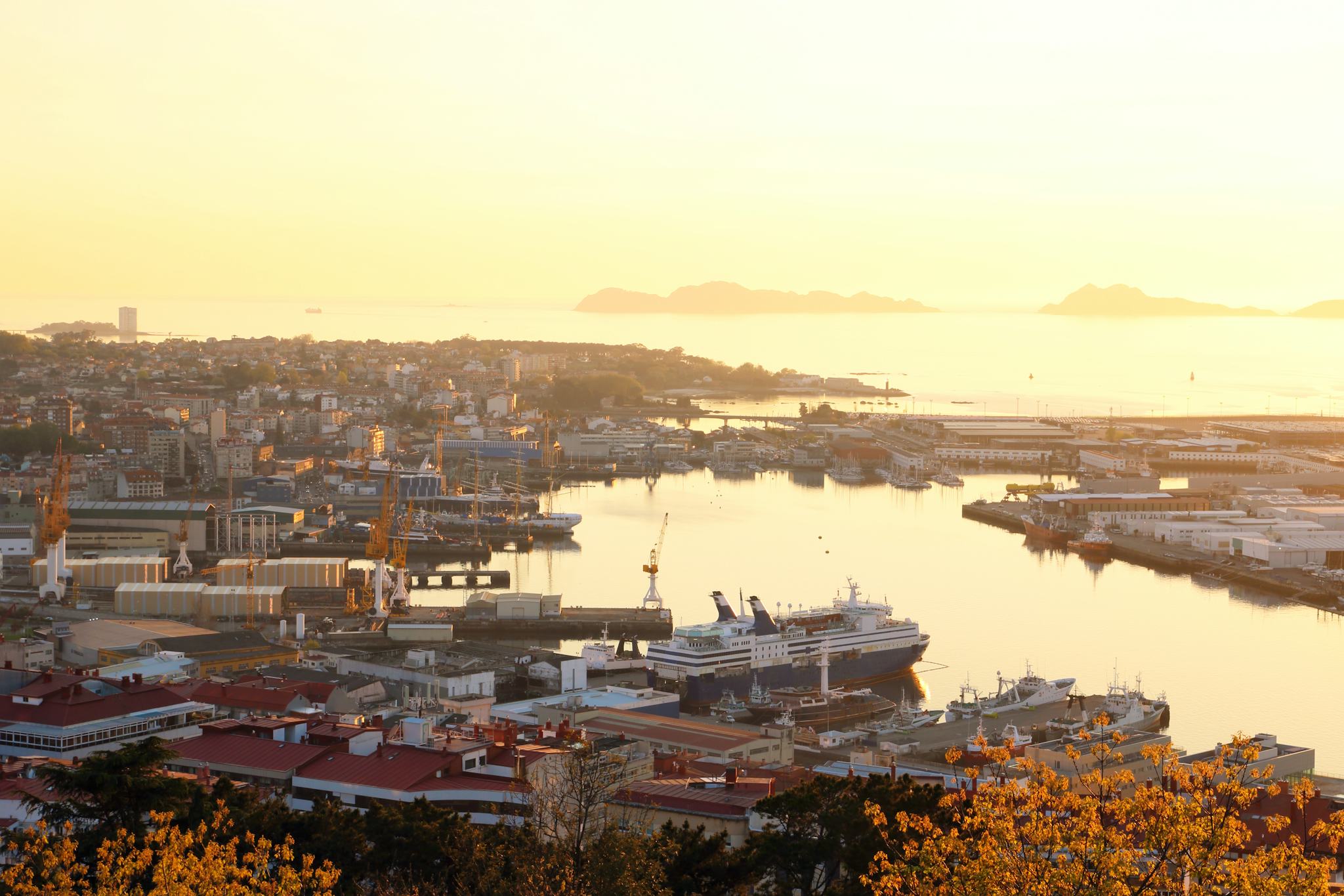 Santiago de Compostela to Vigo and Tui: Private day trip