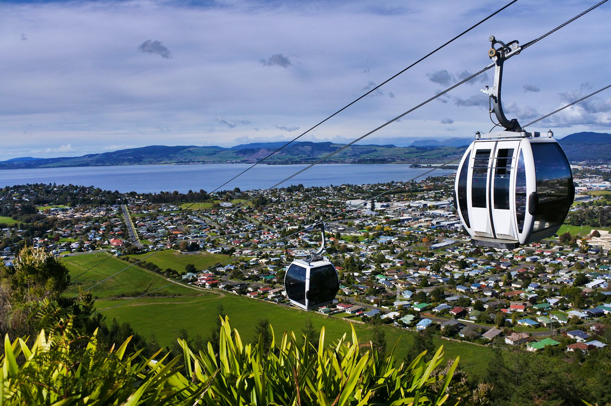 Auckland to Volcanic Hills Winery: Private day trip