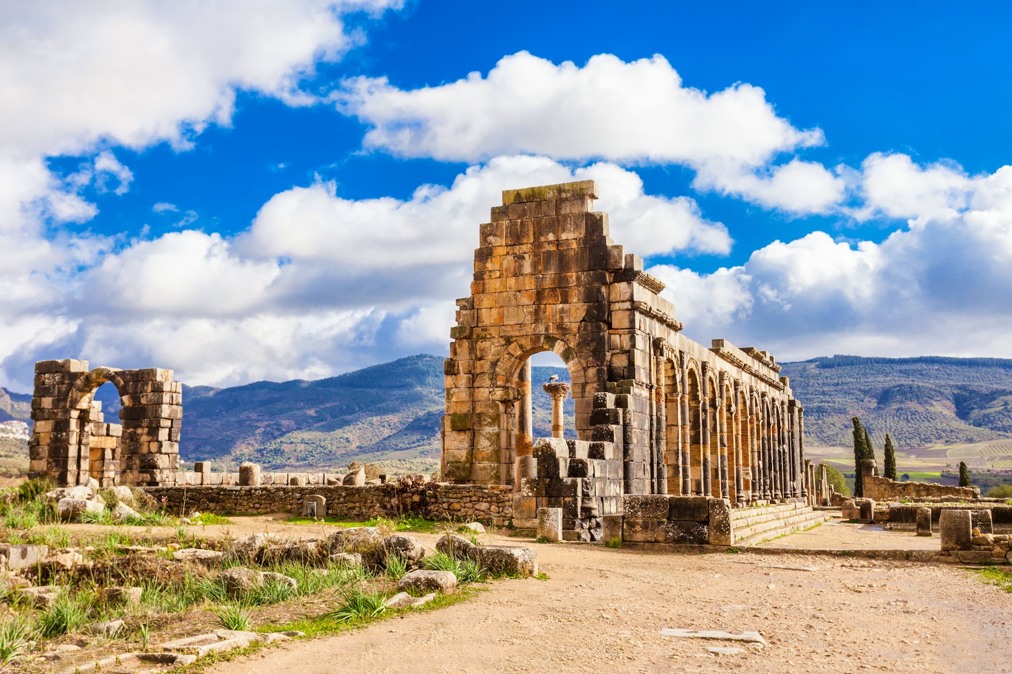 Casablanca to Meknes and Volubilis: Private day trip