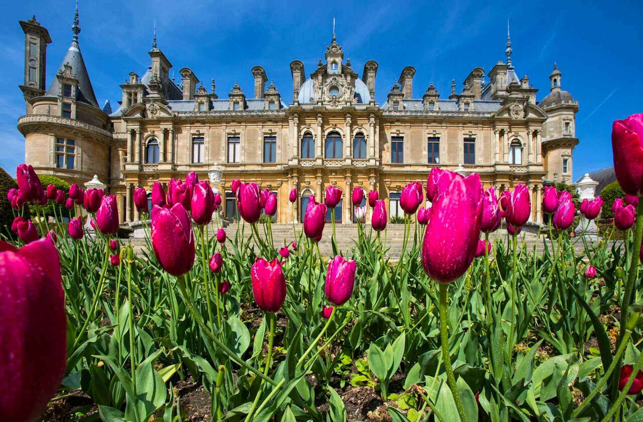 Waddesdon Manor