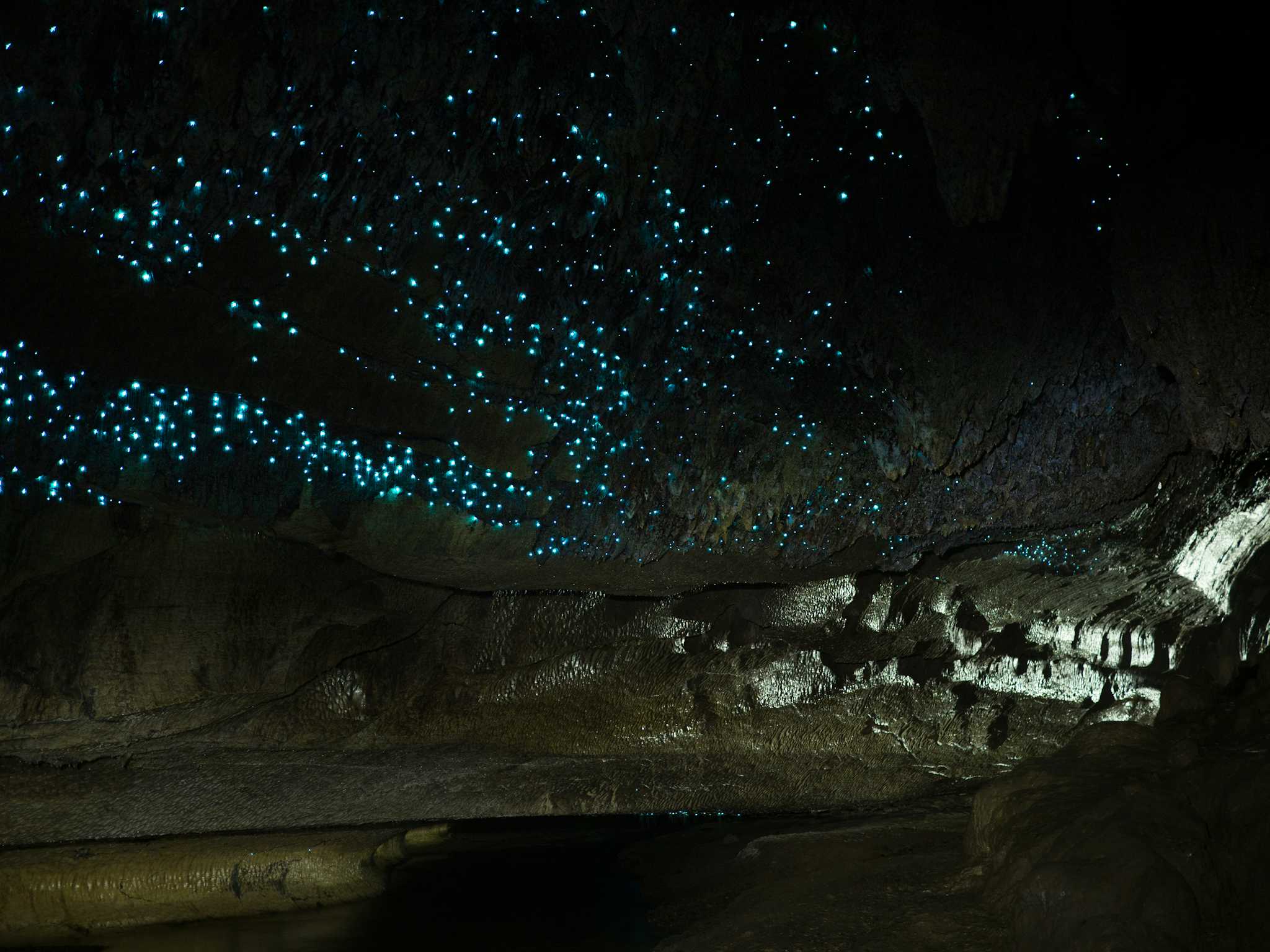 Waipu Caves