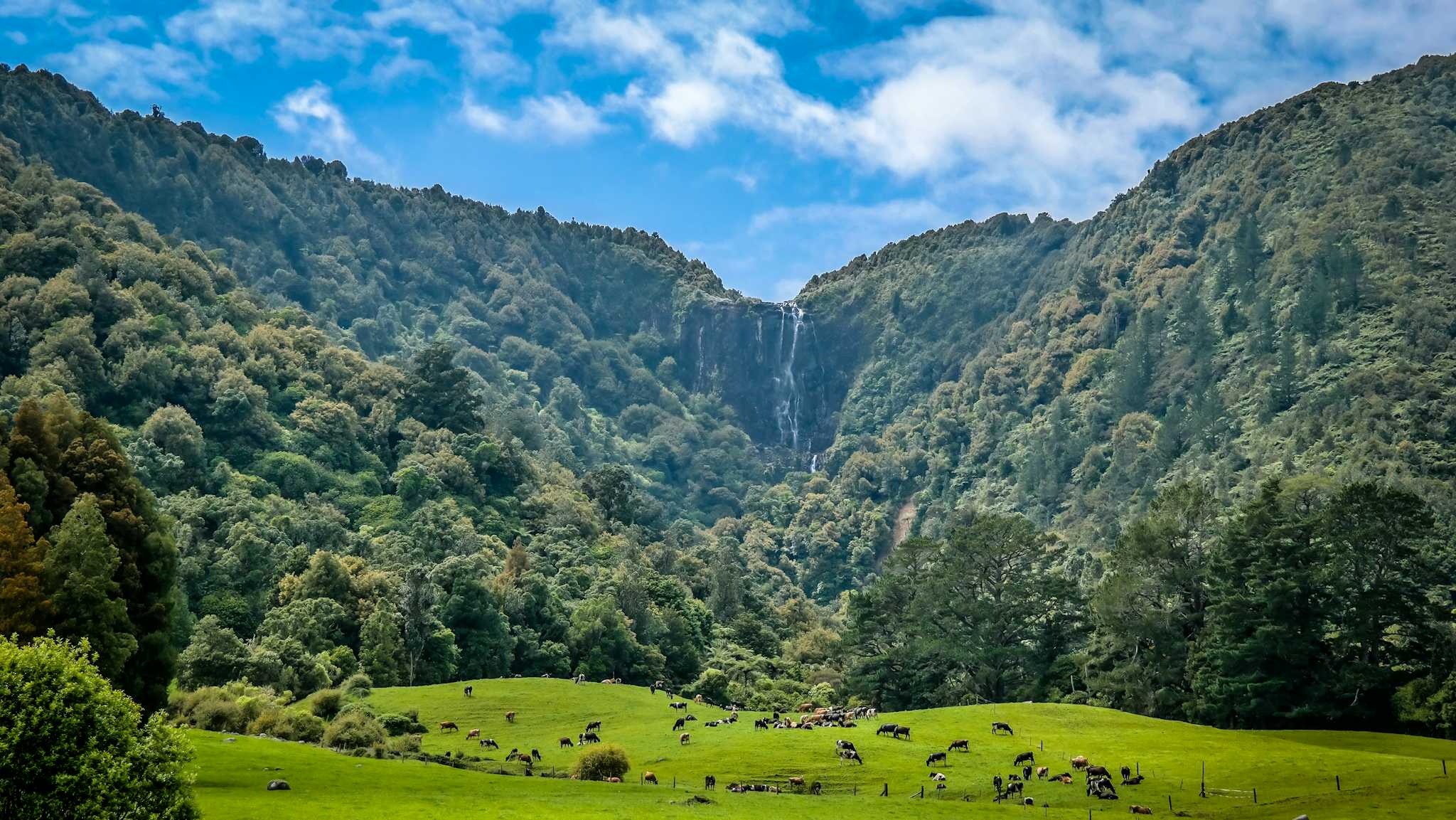 Wairere Falls