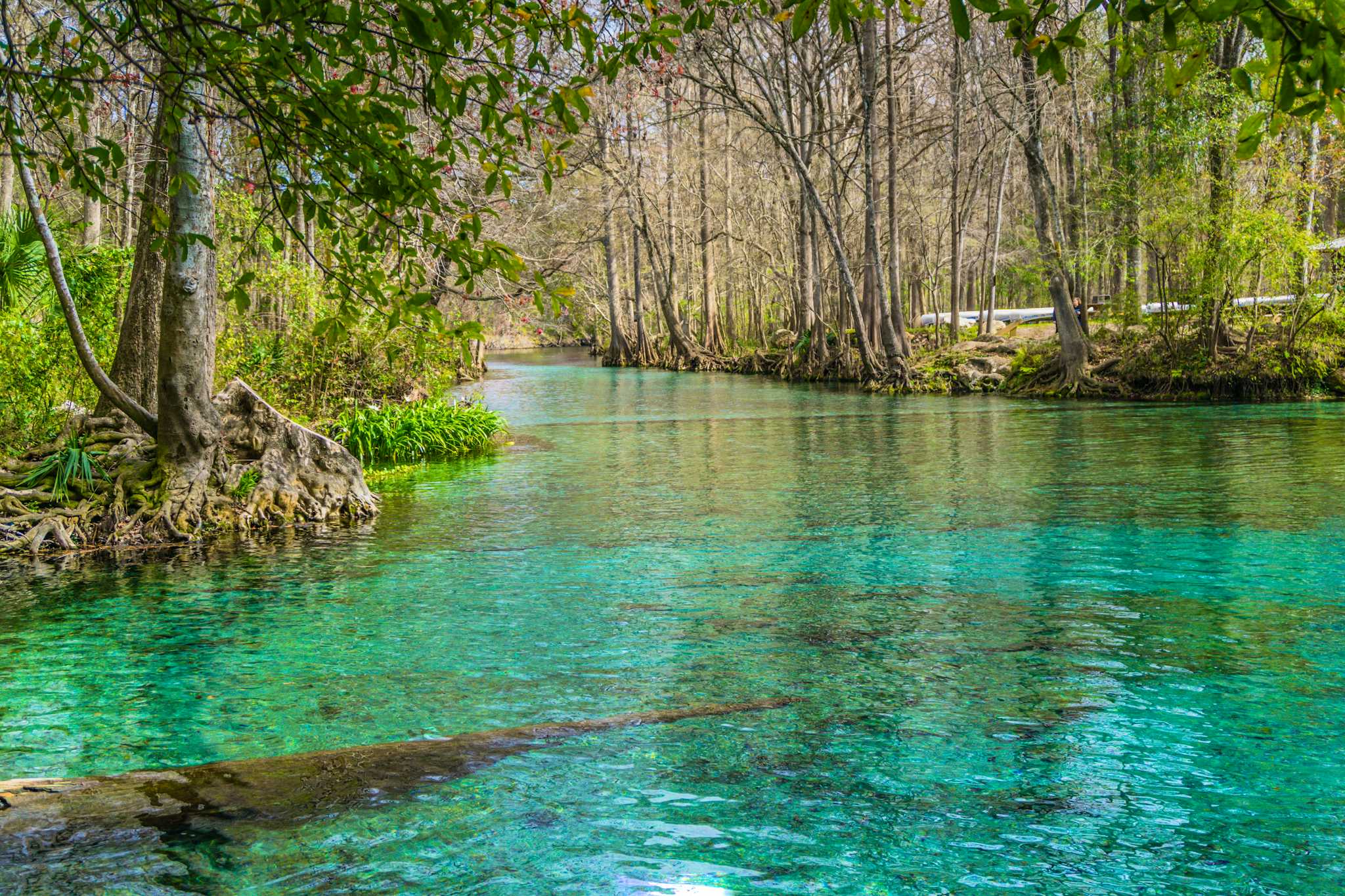 Weeki Wachee Springs